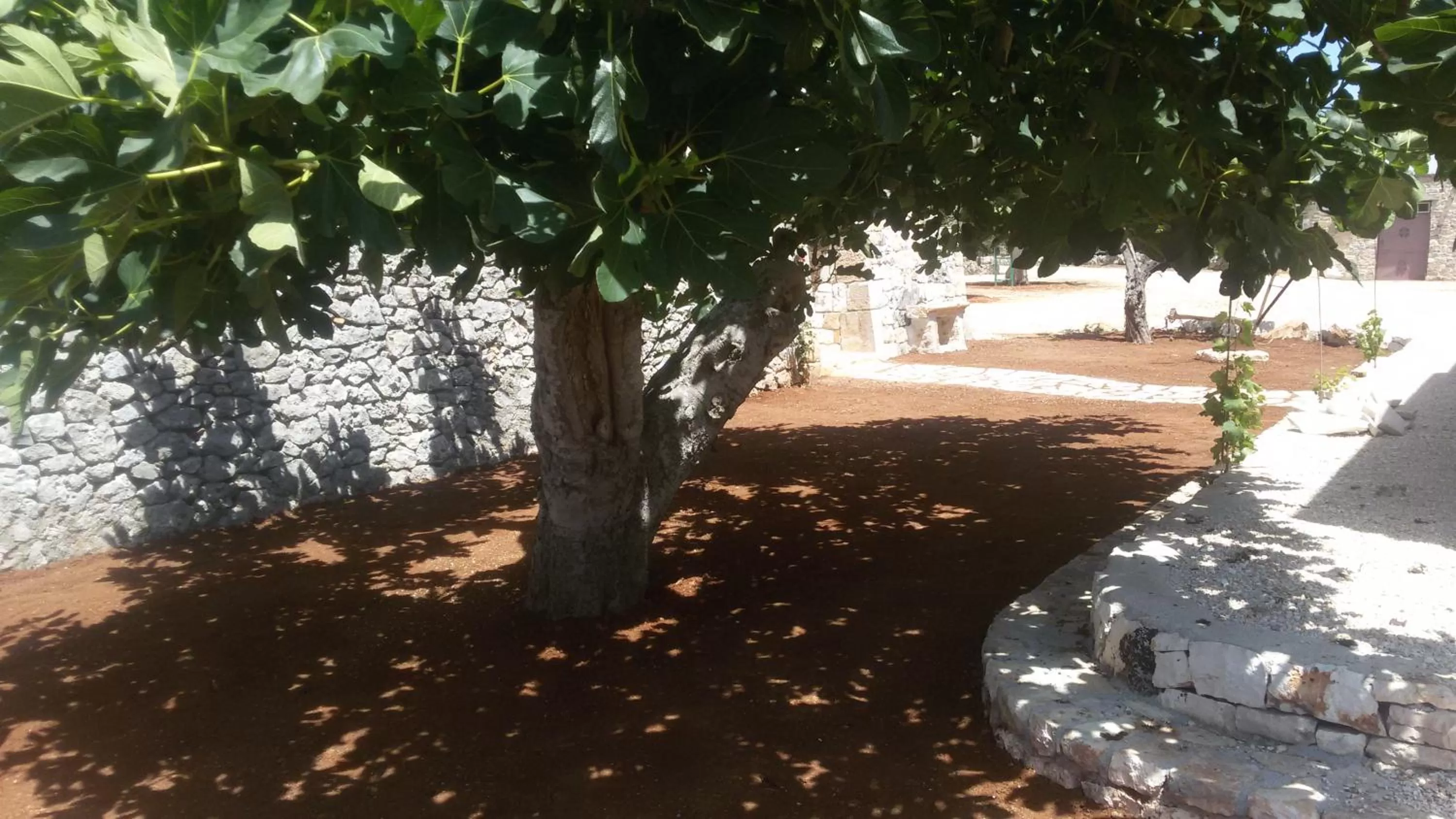 Garden view in Masseria Tolla