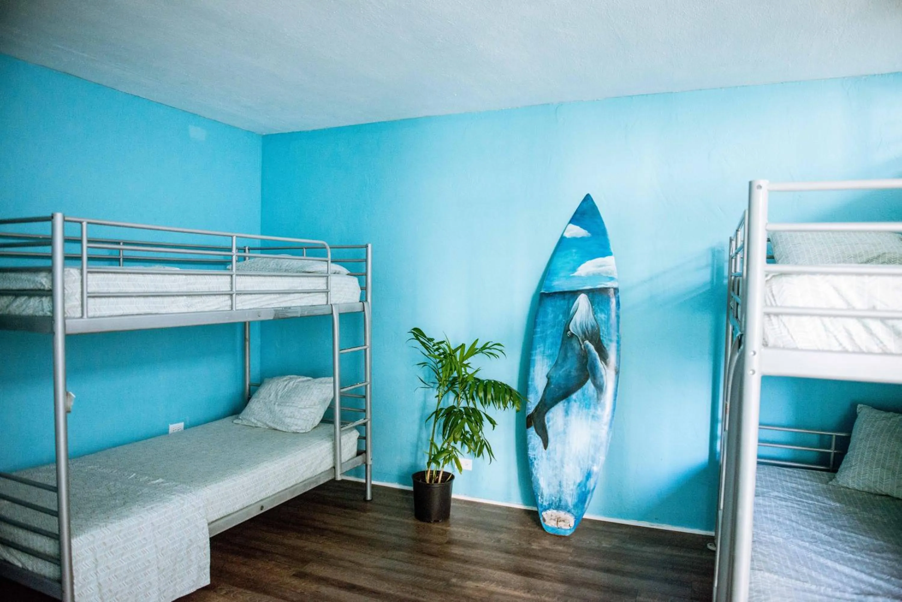 Photo of the whole room, Bed in Polynesian Hostel Beach Club