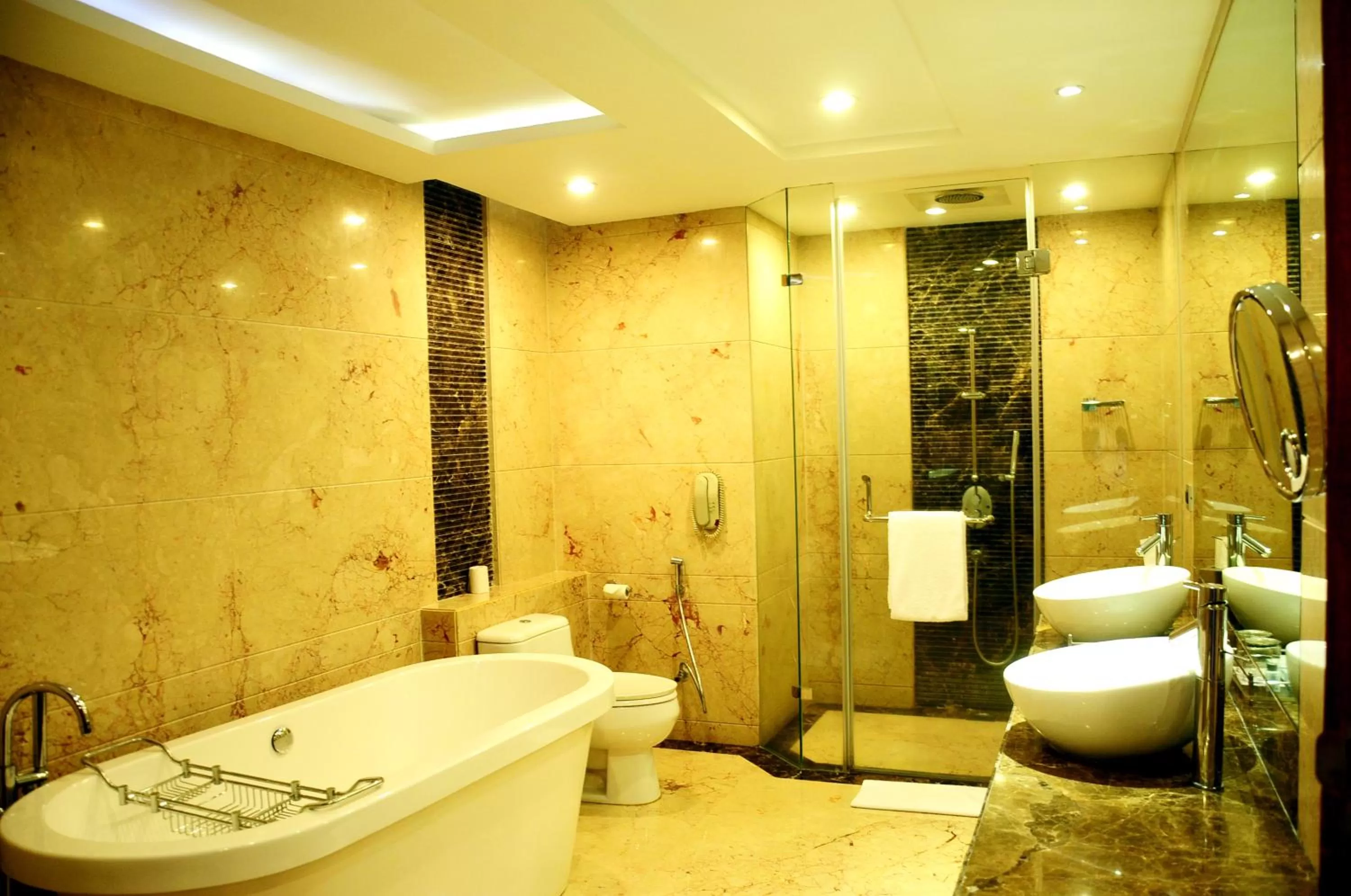 Shower in Radisson Blu Plaza Delhi Airport
