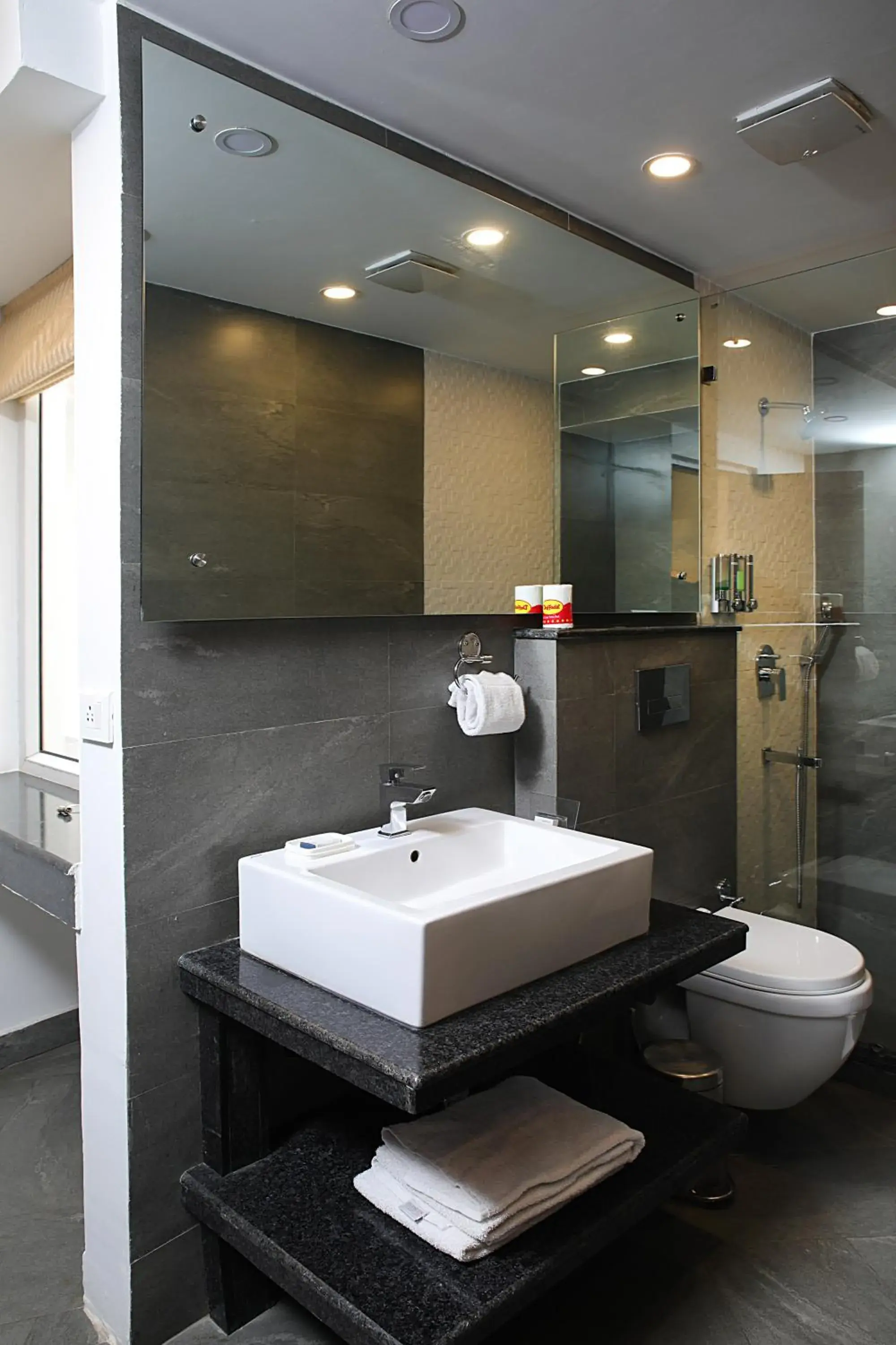 Bathroom in Ahuja Residency DLF Phase 2