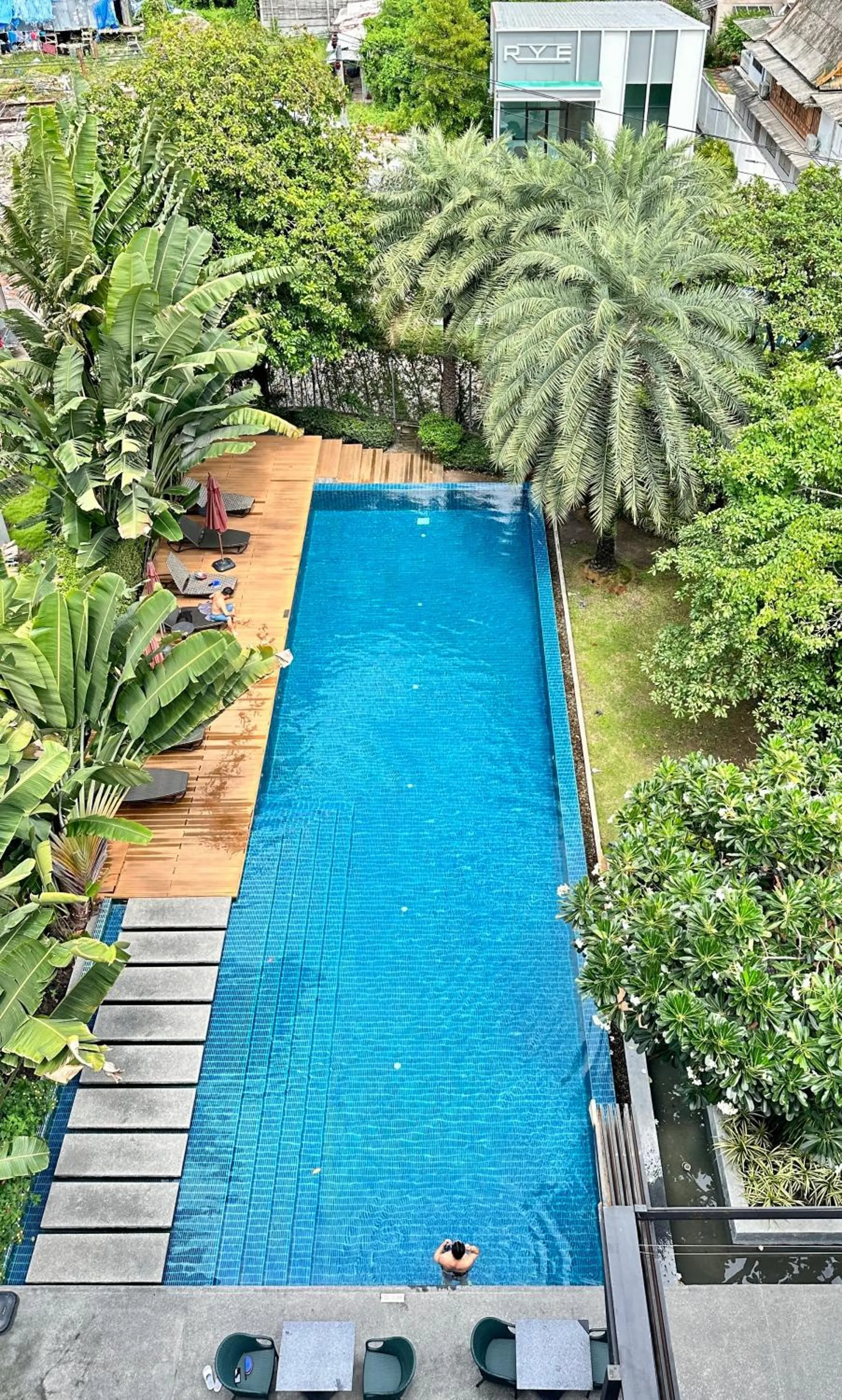 Swimming pool in The Silver Palm Wellness Resort