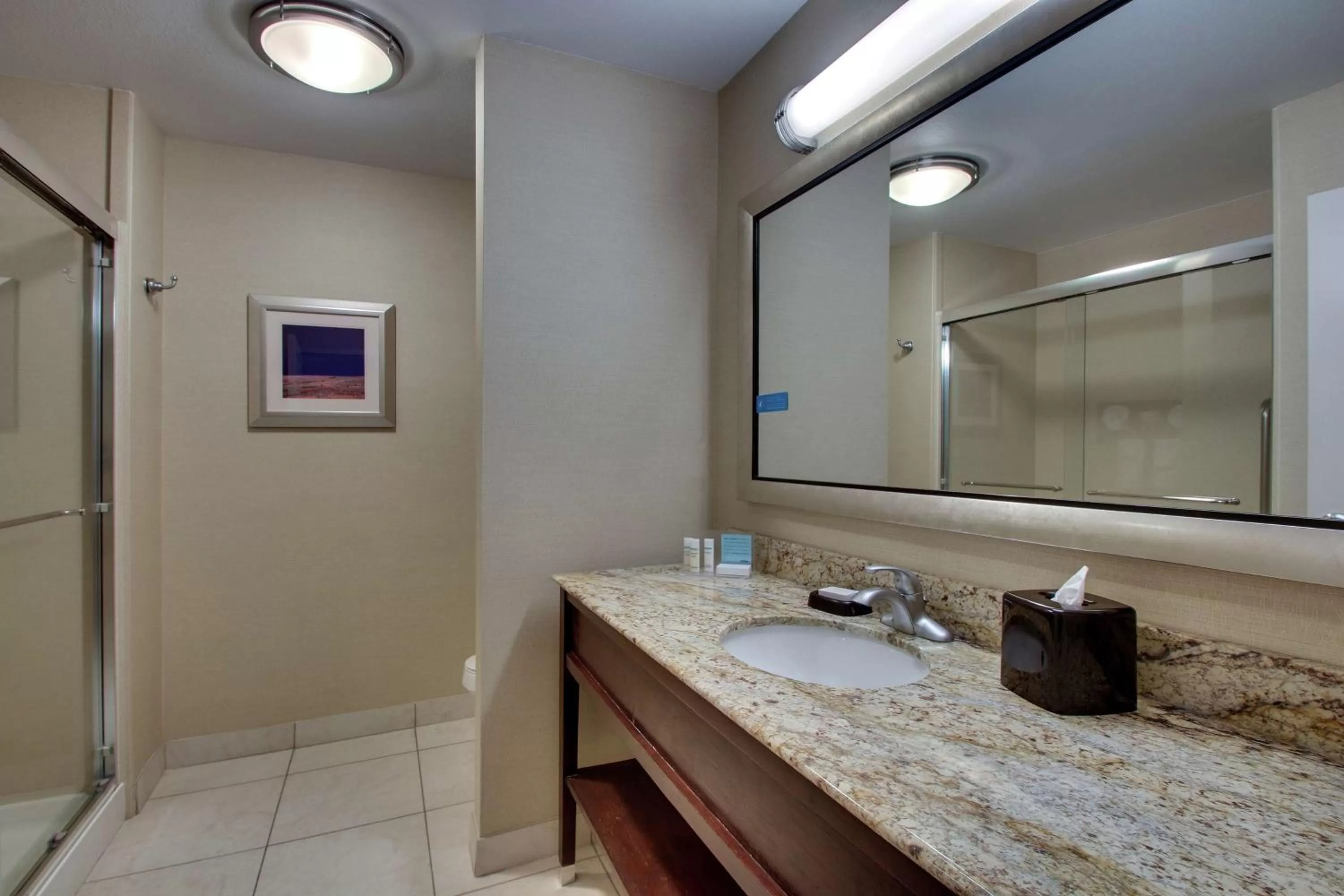 Bathroom in Hampton Inn Vernon