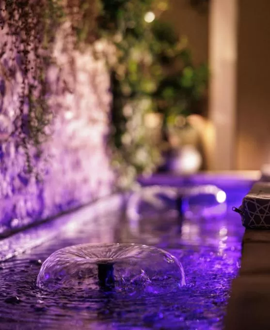 Restaurant/places to eat in Acanthus blue