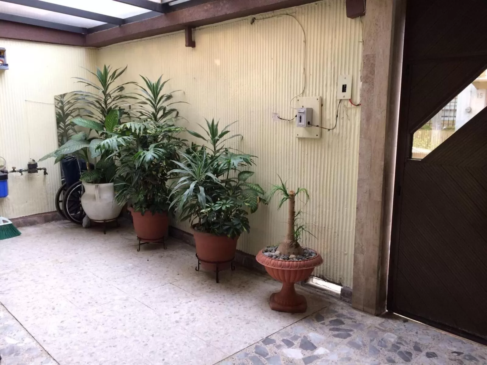 Patio in Casa Q BnB