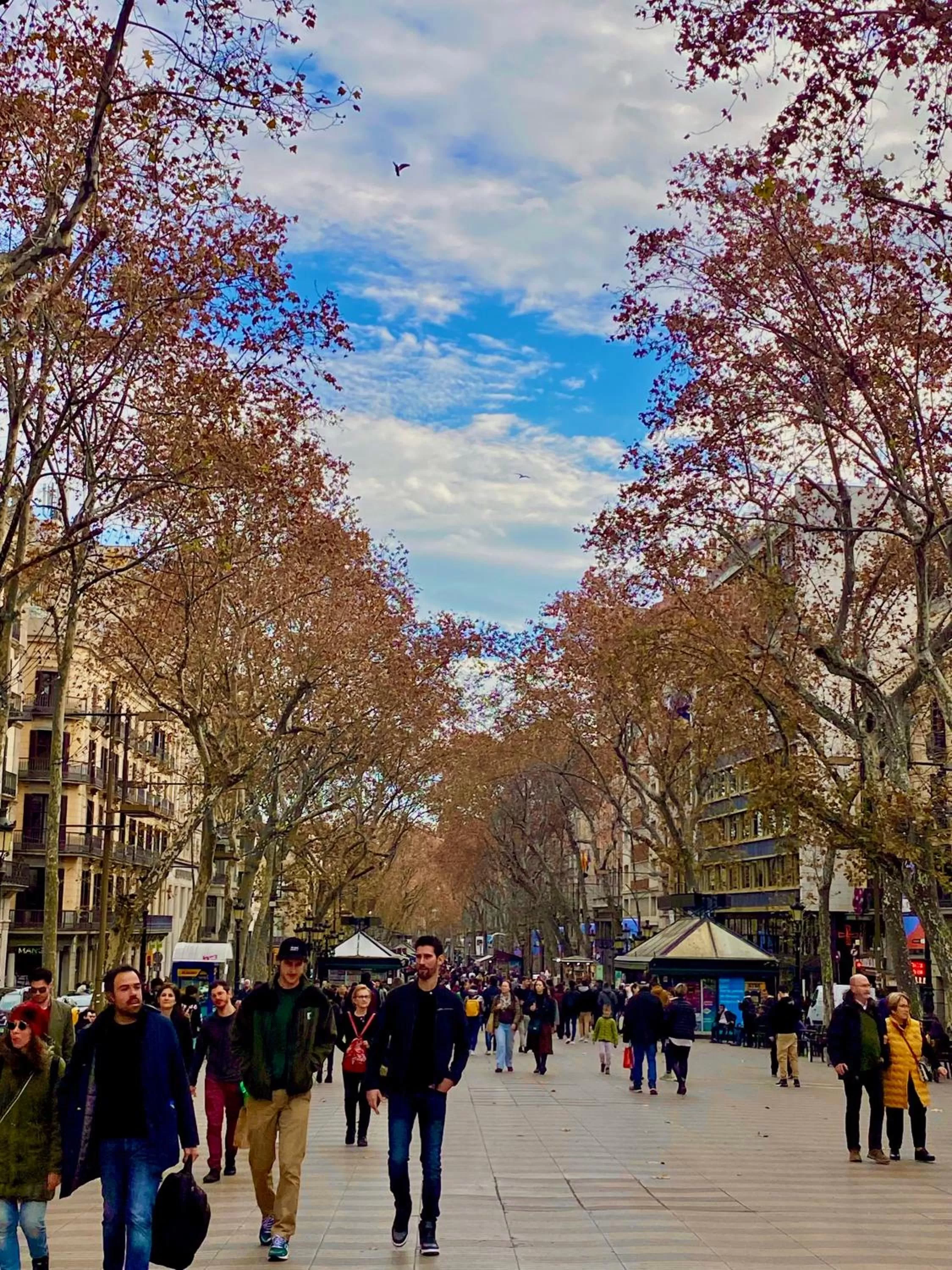 View (from property/room) in Hotel Continental Barcelona