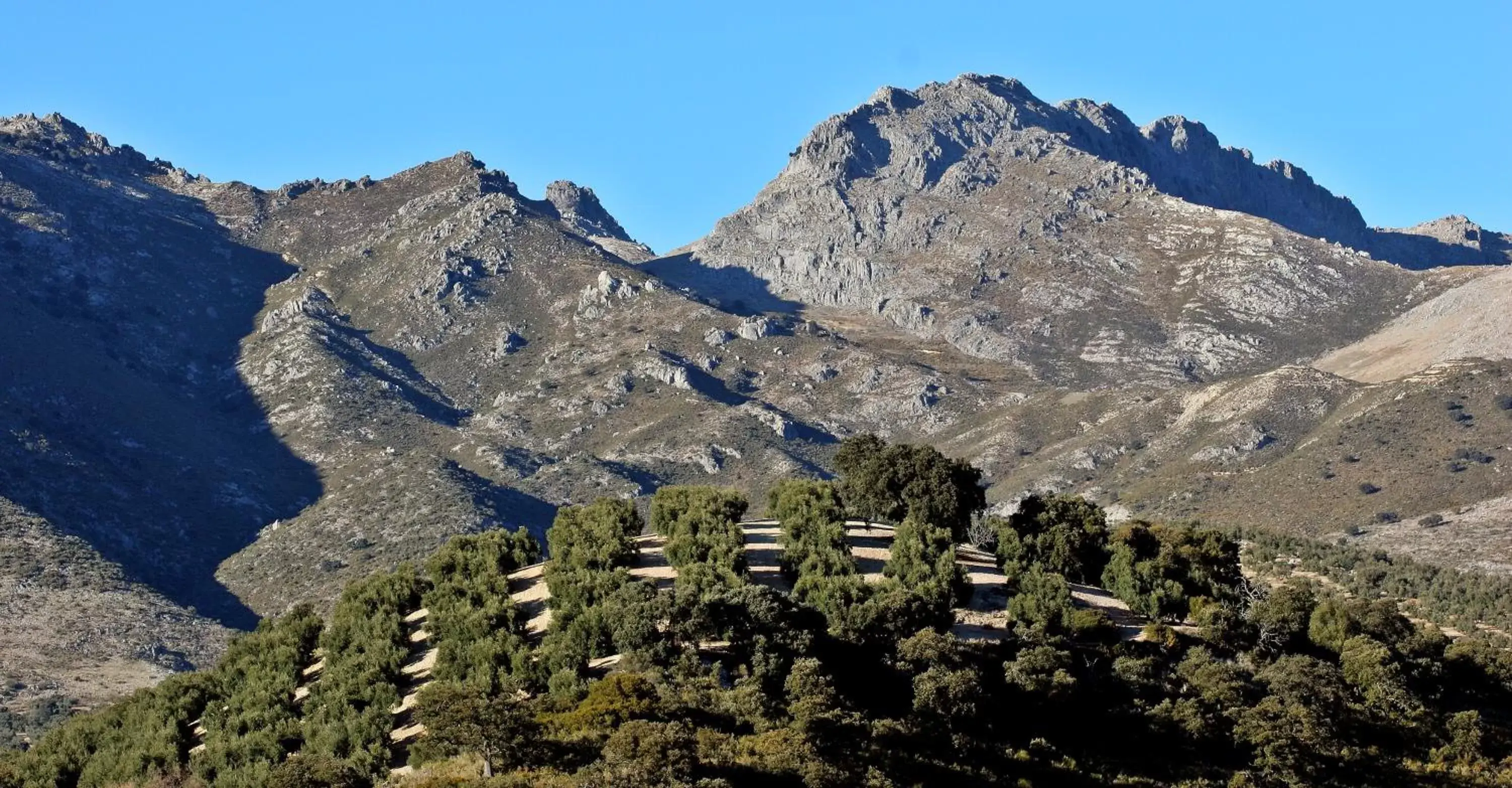 Activities, Winter in Huerta de las Palomas