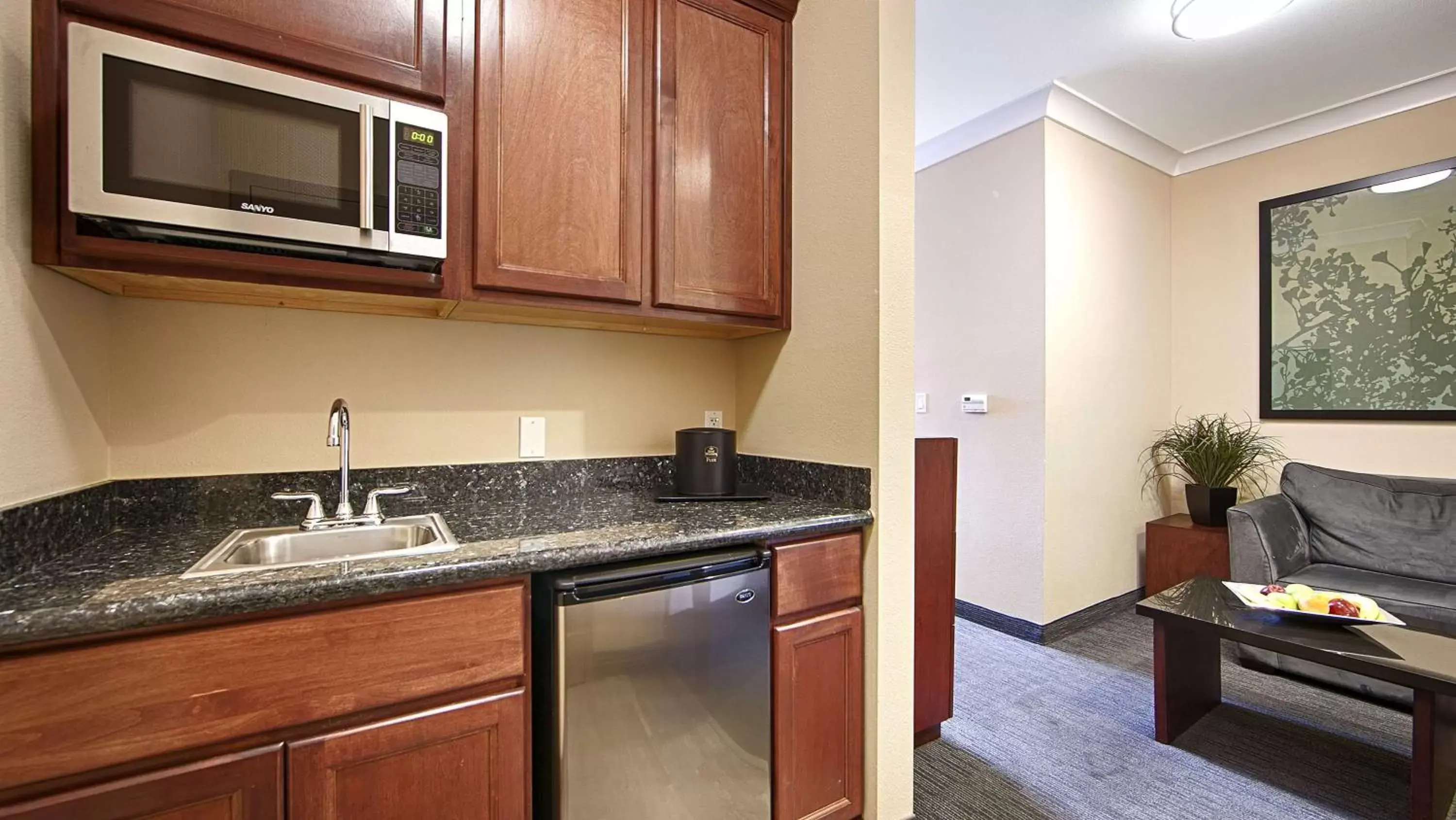 Photo of the whole room, Kitchen/Kitchenette in Best Western PLUS Avita Suites