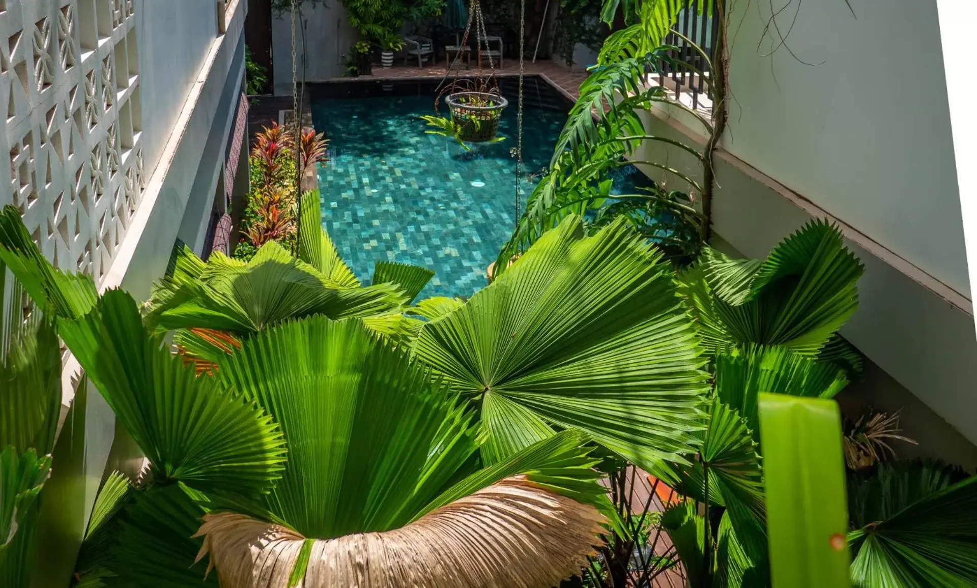 Swimming pool, Pool View in Vihara Angkor