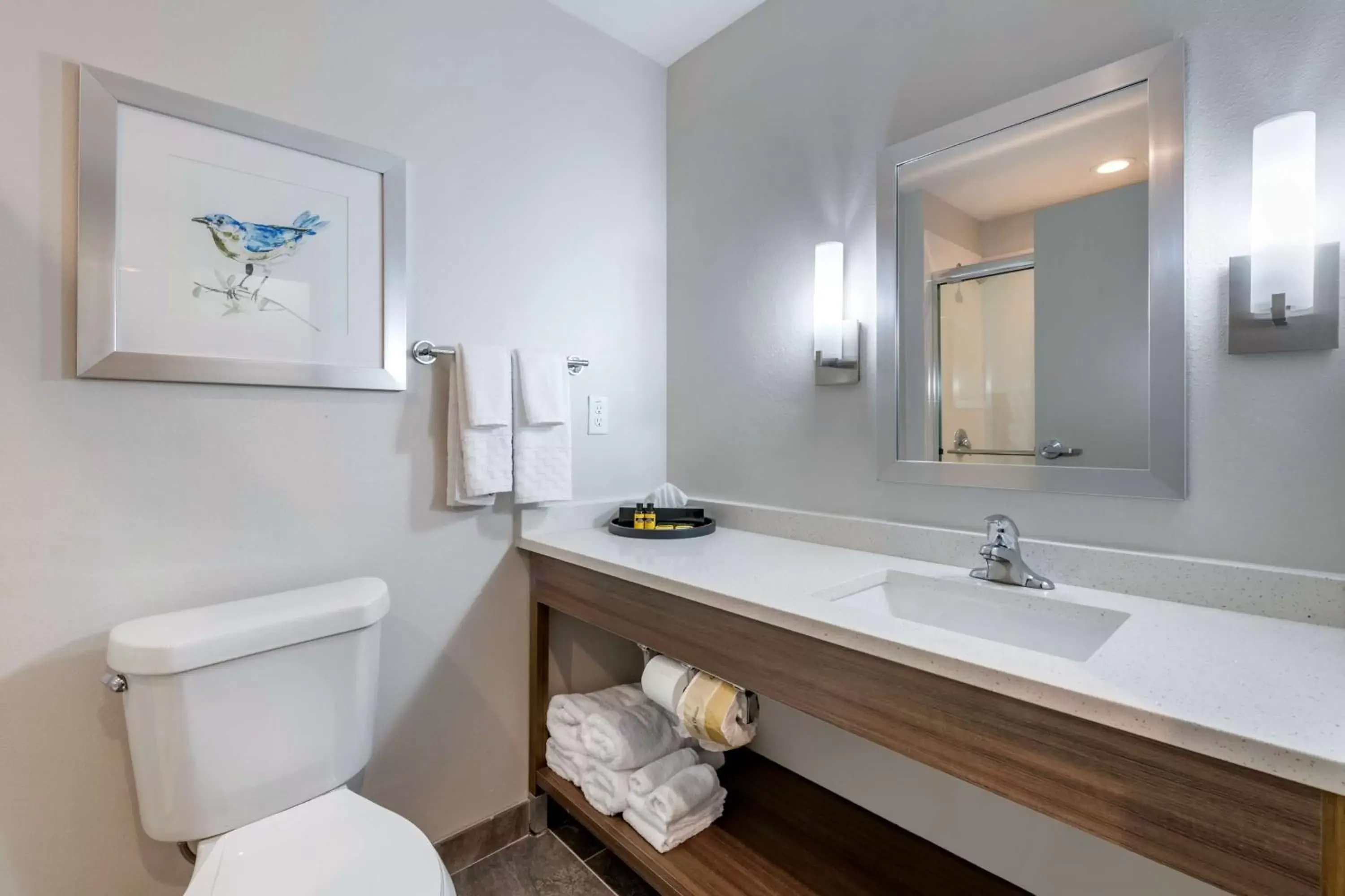 Bathroom in Best Western Plus Lakeland Bathroom in Best Western Plus Lakeland