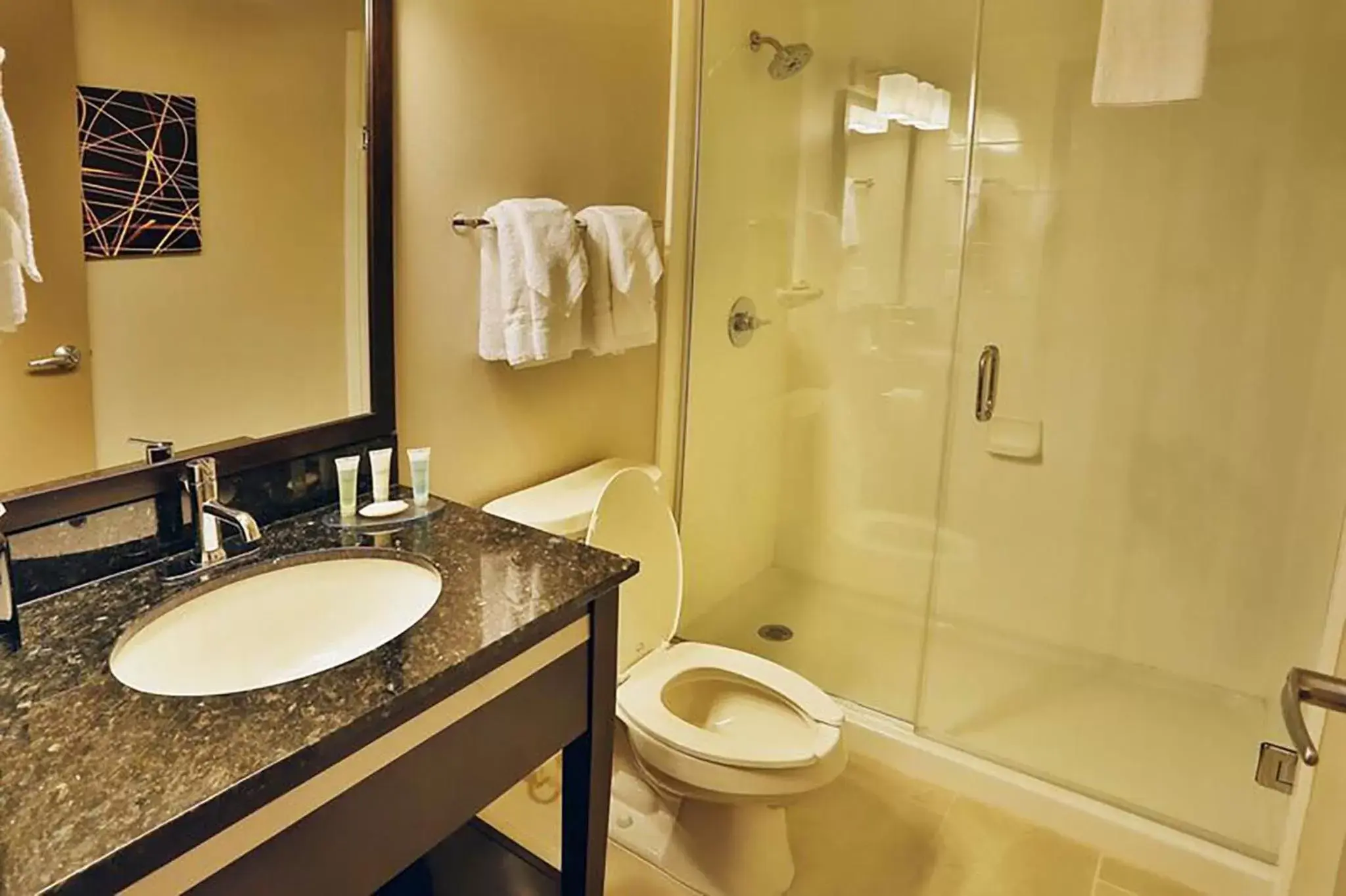 Shower, Bathroom in Best Western Harvest Inn & Suites