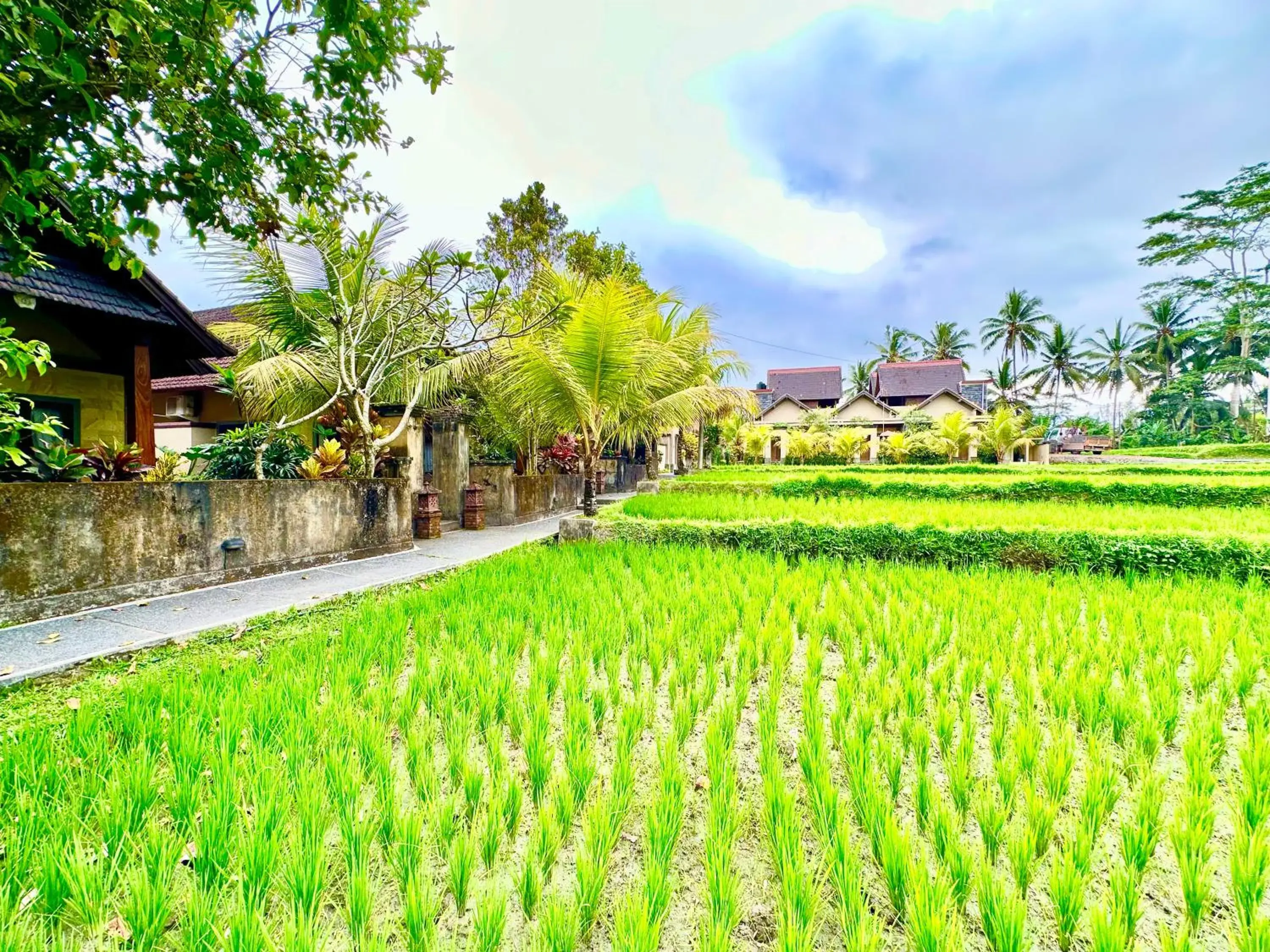 Property building, Garden in Dupa Ubud Villa