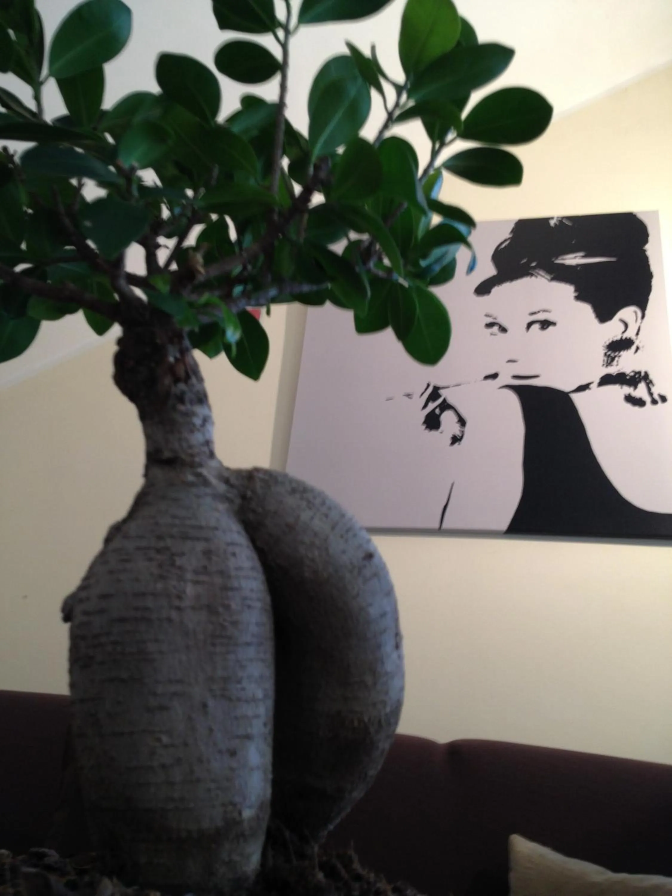 Decorative detail in Hotel Indicatore