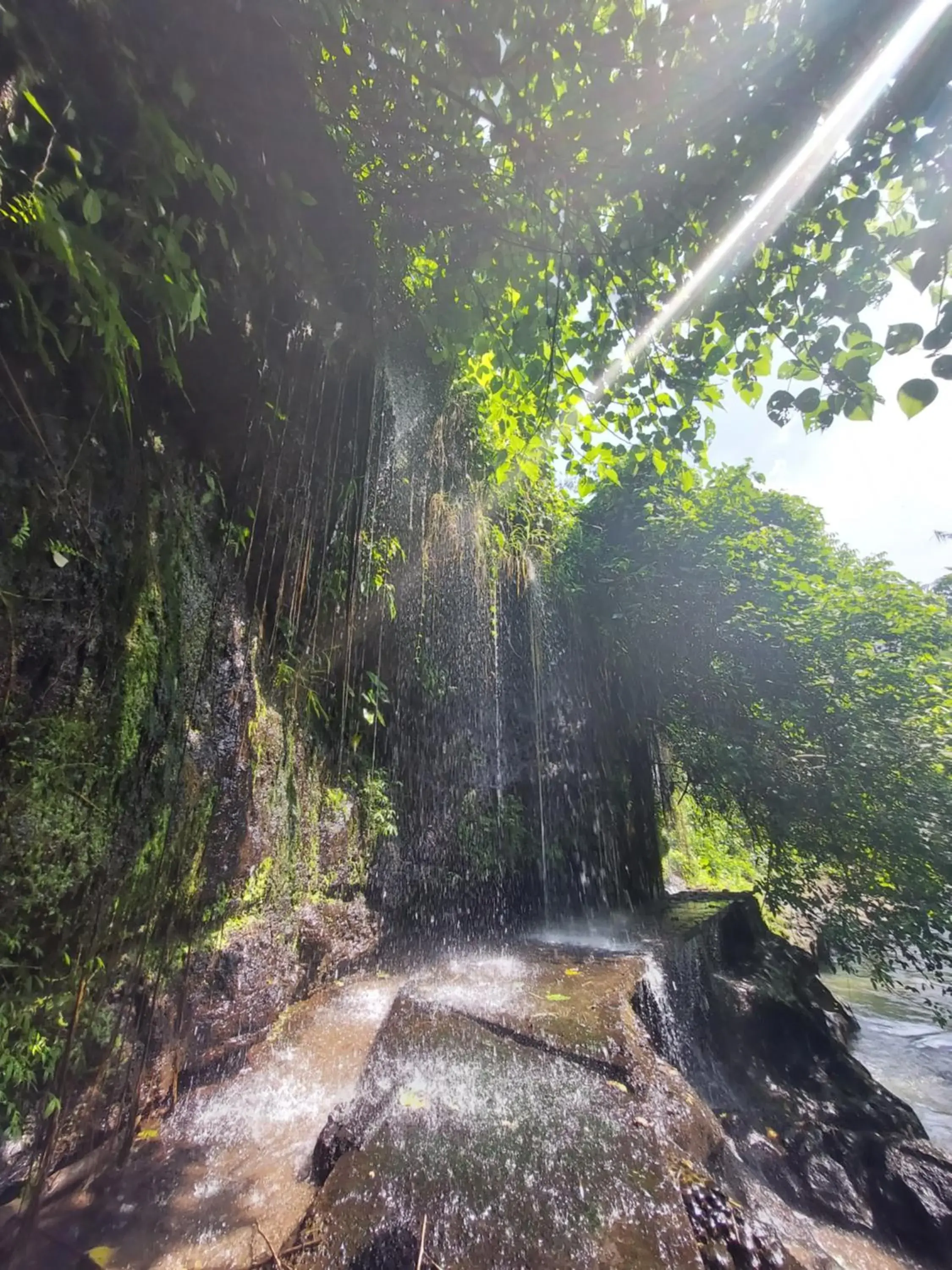 Natural landscape, Garden in Ubad Retreat, A Local Family Run Hotel