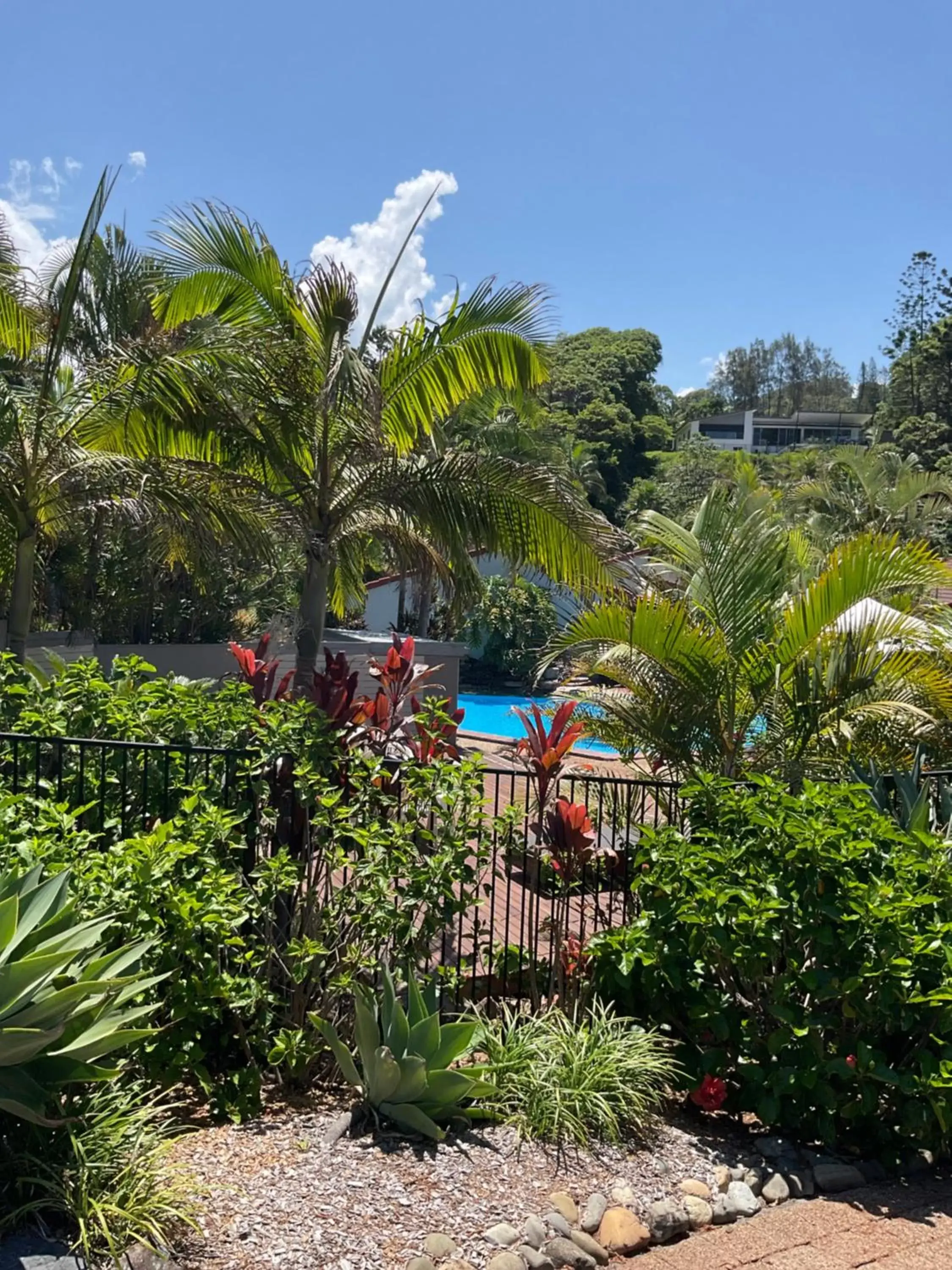 Pool View in Private Suite Nautilus Beach Front Resort