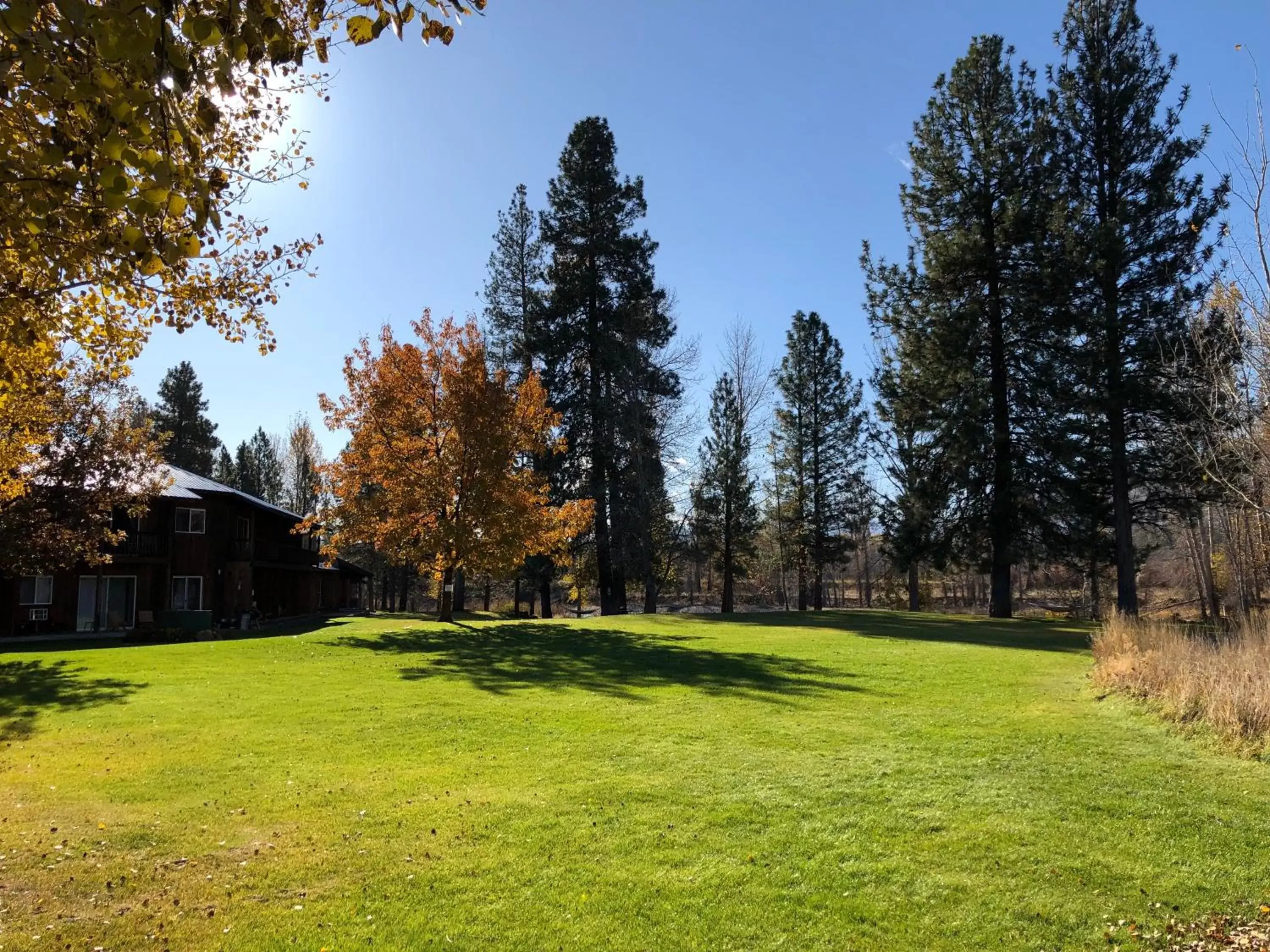 Natural landscape in River Run Inn