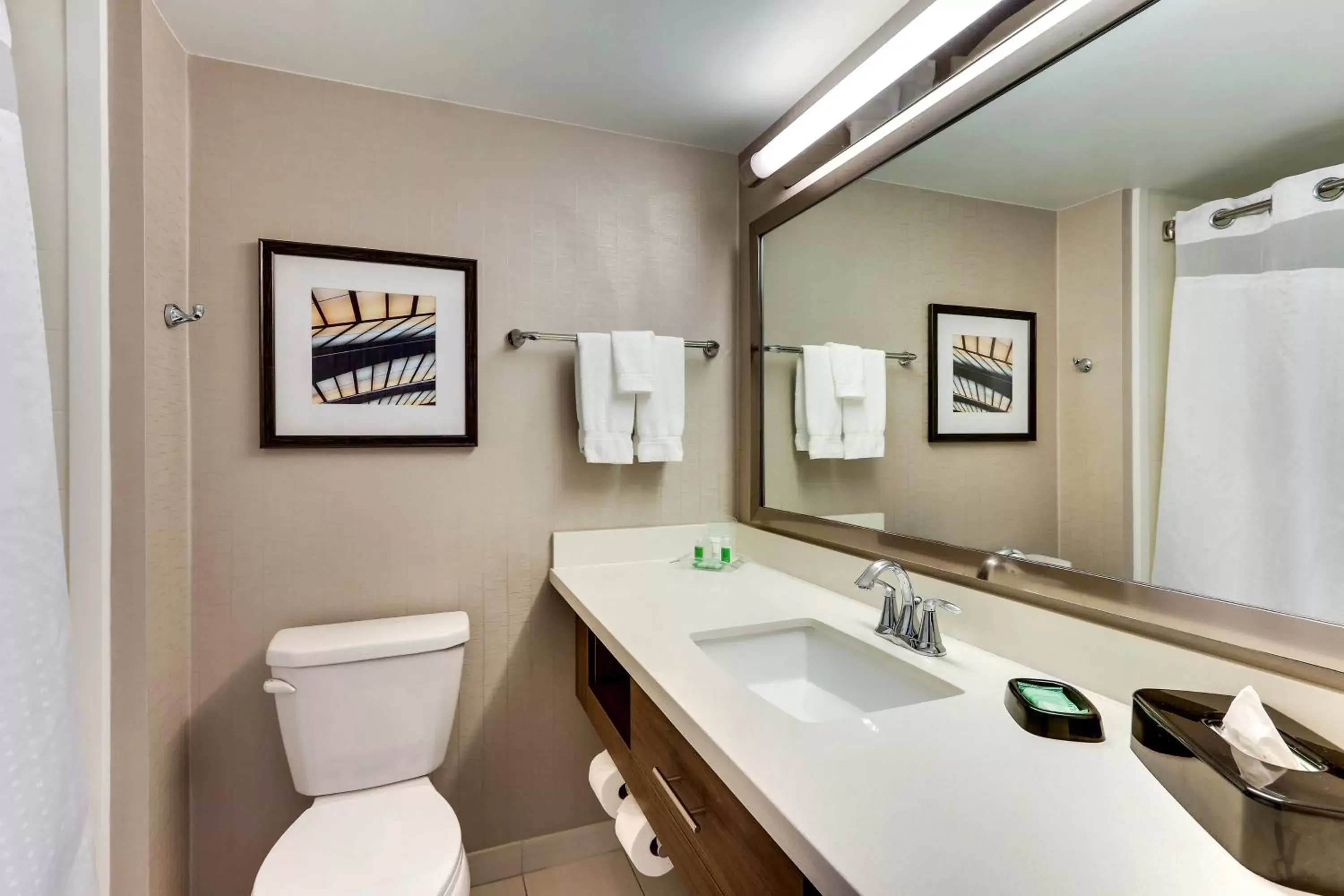 Bathroom in Holiday Inn Franklin - Cool Springs, an IHG Hotel