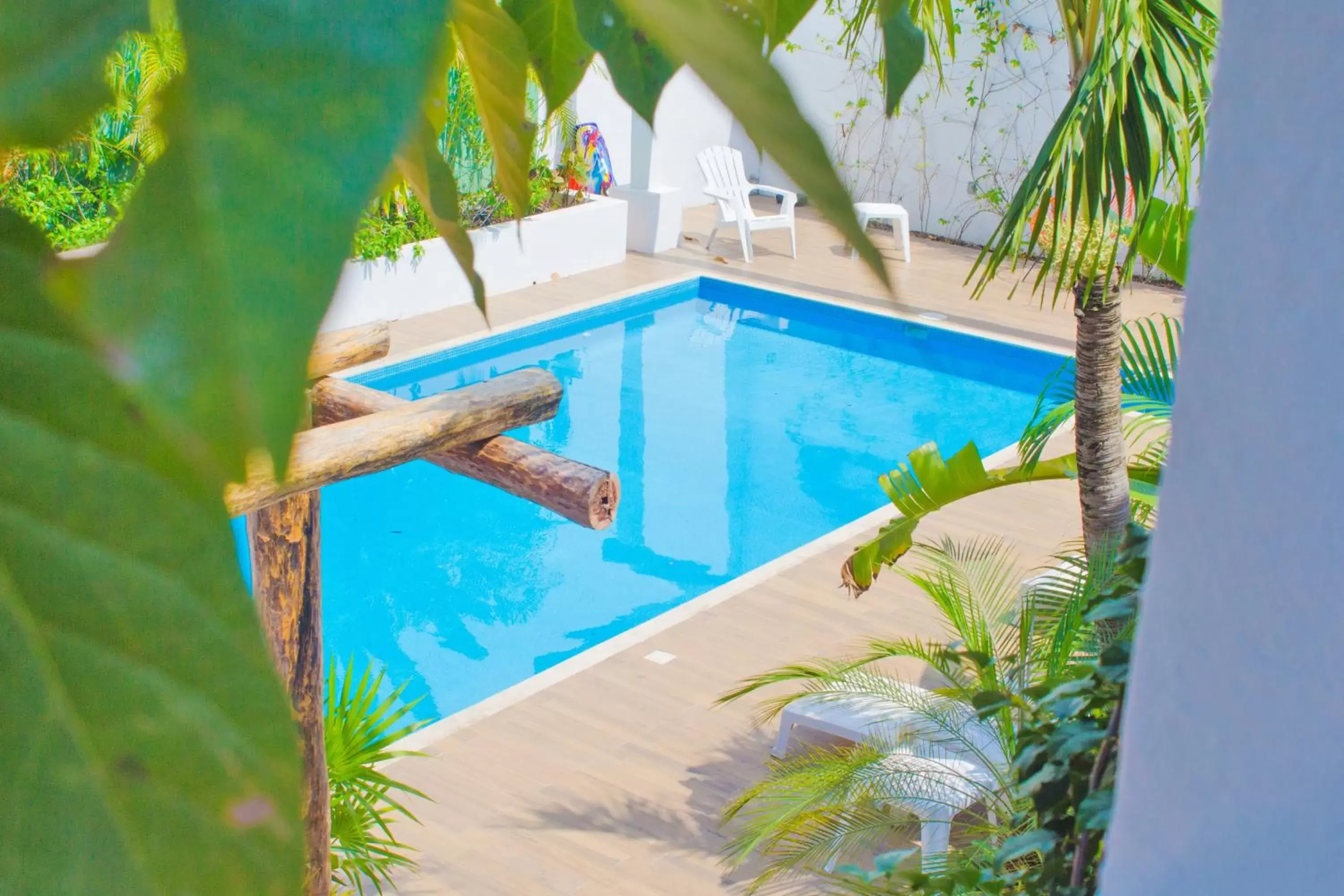 Garden view, Swimming Pool in Hotel Villas Colibrí Suites & Bungalows