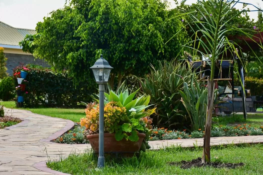 Garden in Tumaini Gardens