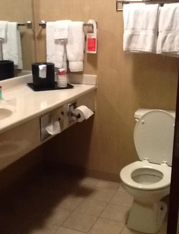 Toilet in Ramada by Wyndham Catlettsburg Ashland