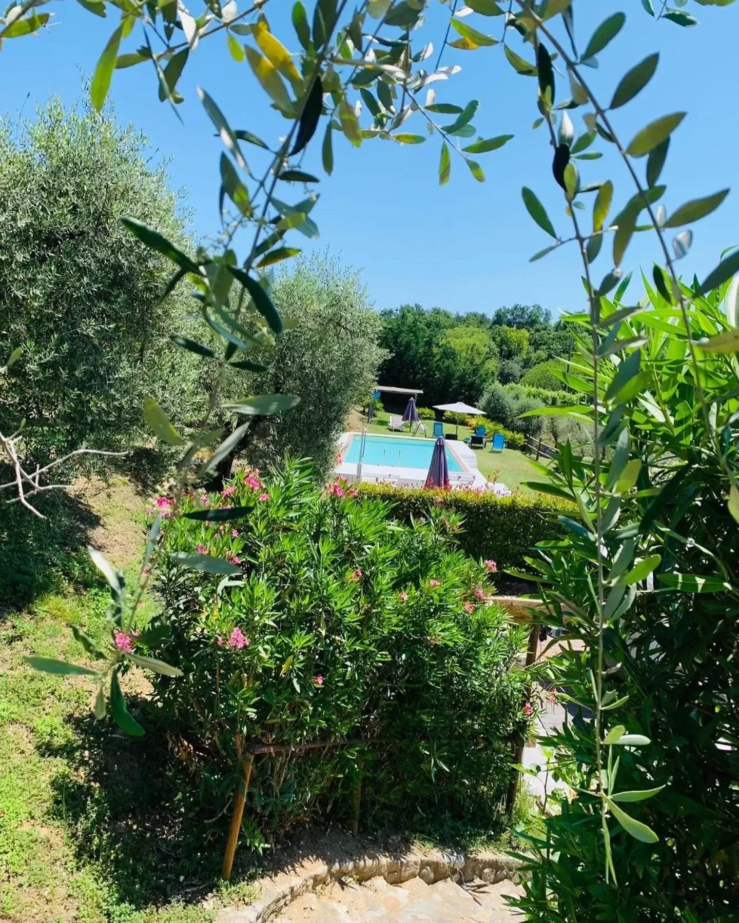 Pool View in B&B Sovenigo