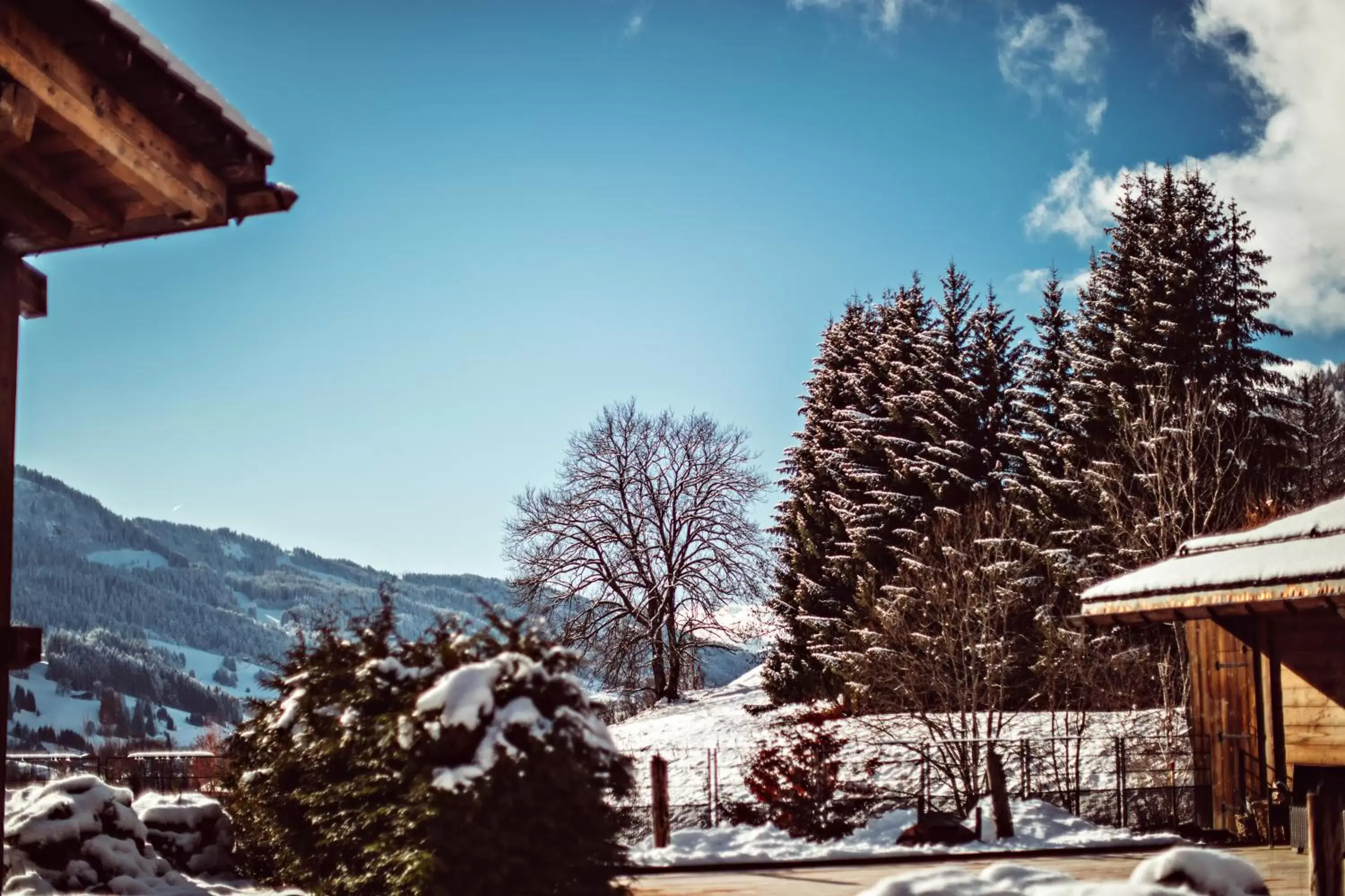 View (from property/room), Winter in L'Alpaga, a Beaumier hotel