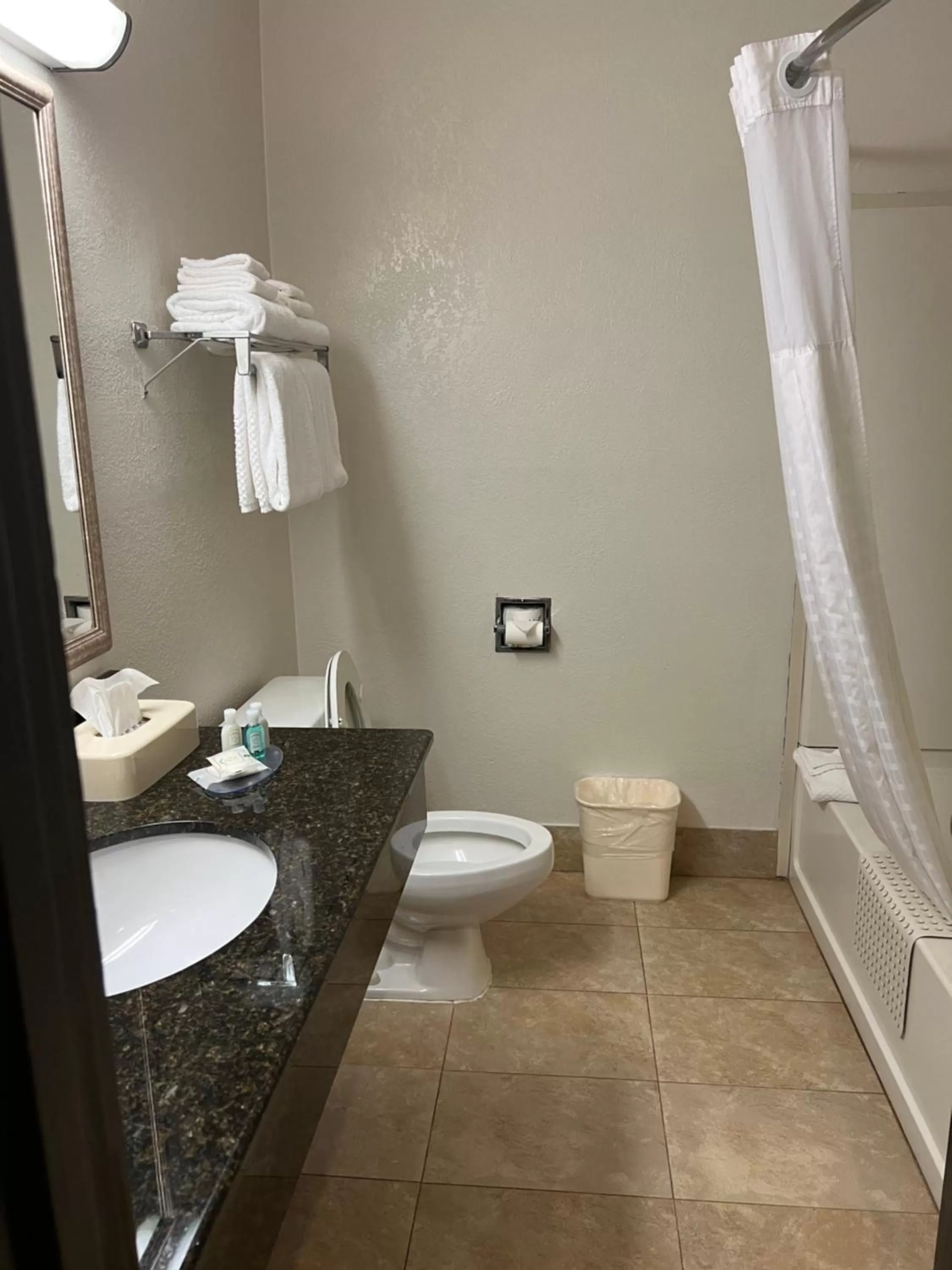 Bathroom in Quality Suites Altavista - Lynchburg South