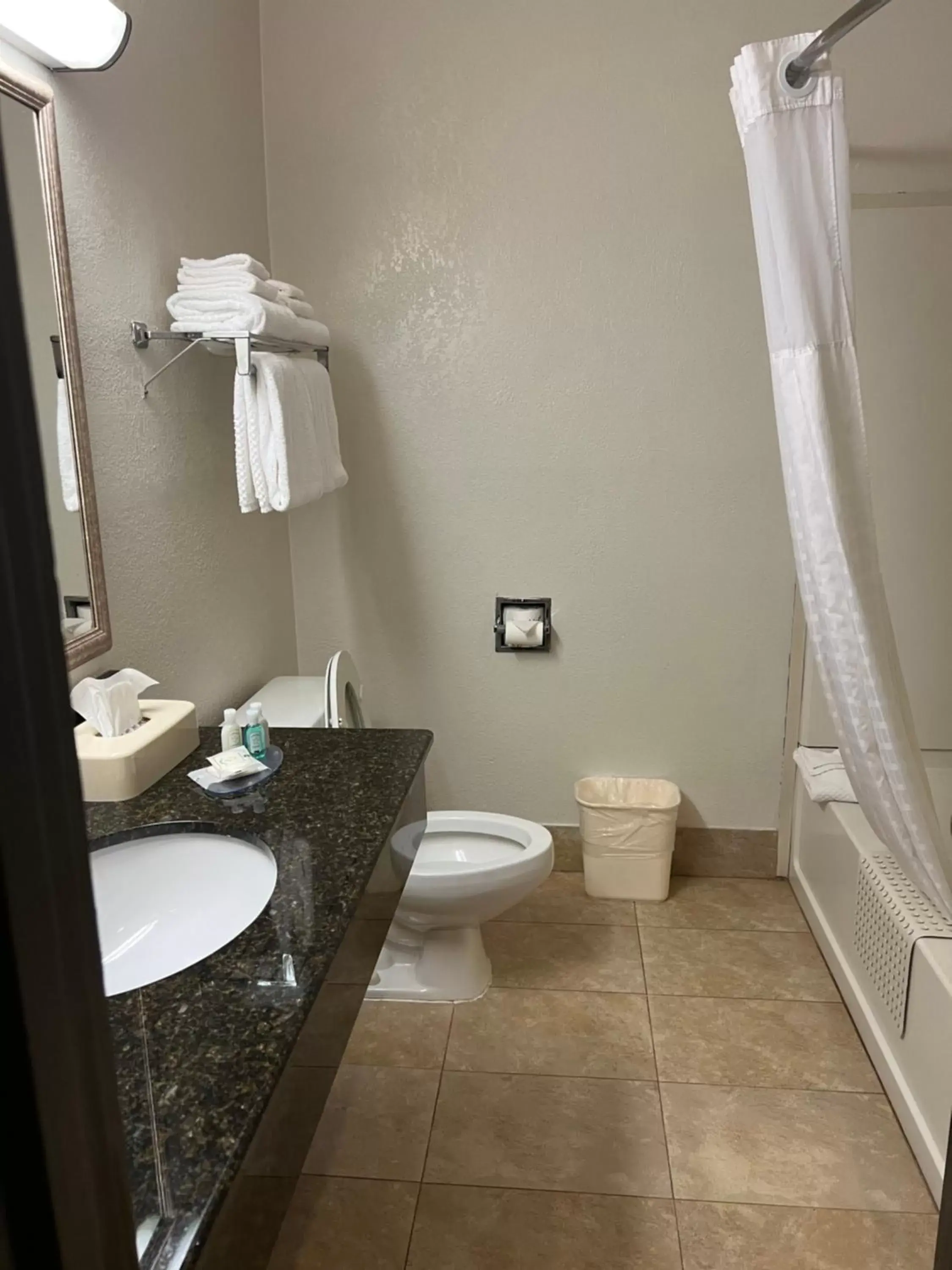 Bathroom in Quality Suites Altavista – Lynchburg South