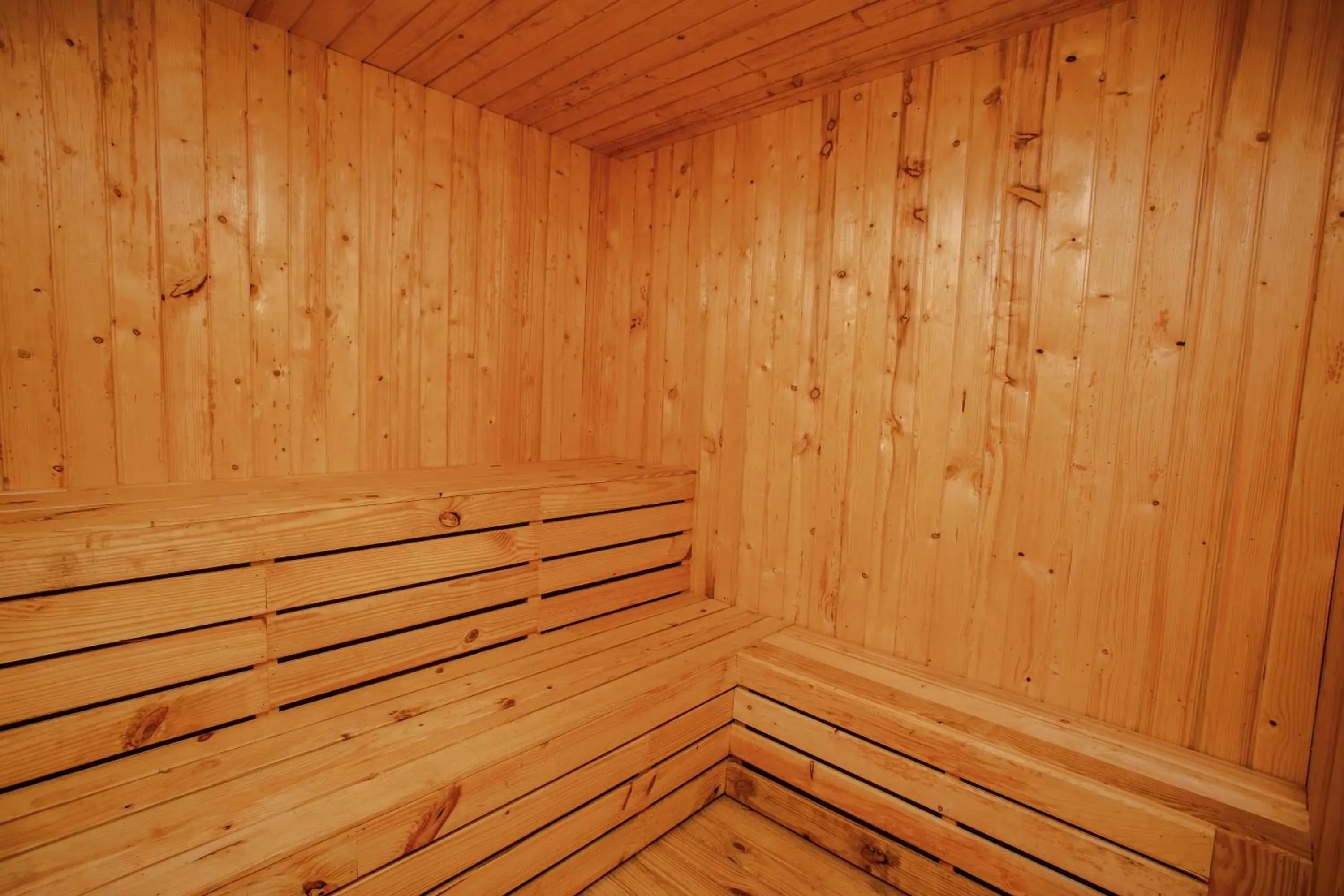 Sauna in Hotel Nepalaya