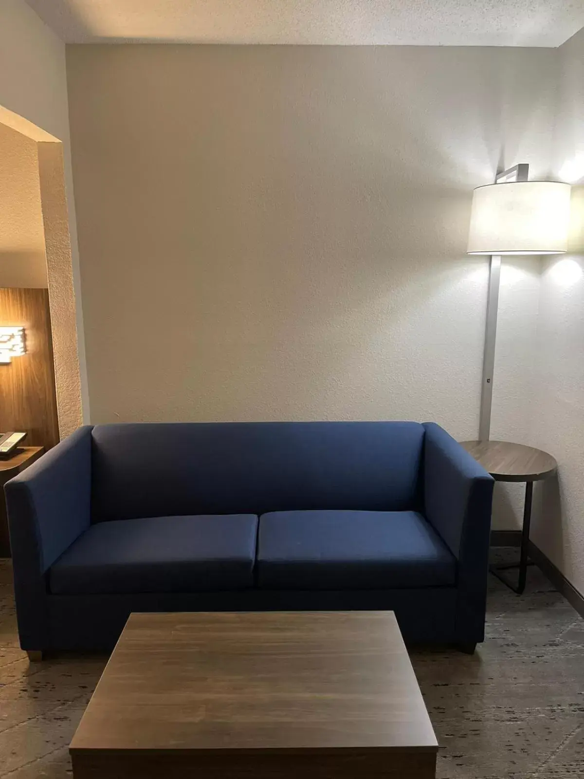 Seating Area in Holiday Inn Express Hotel & Suites Hiawassee, an IHG Hotel