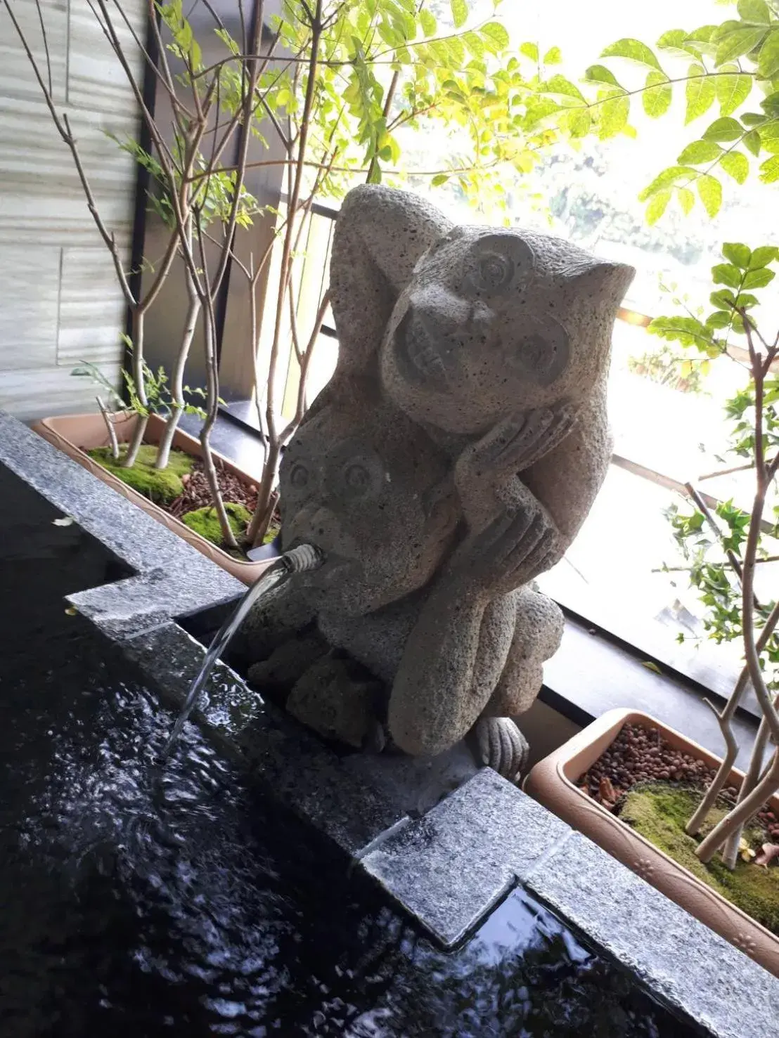 Hot Spring Bath, Other Animals in Balinese onsen ryokan Hakone Airu