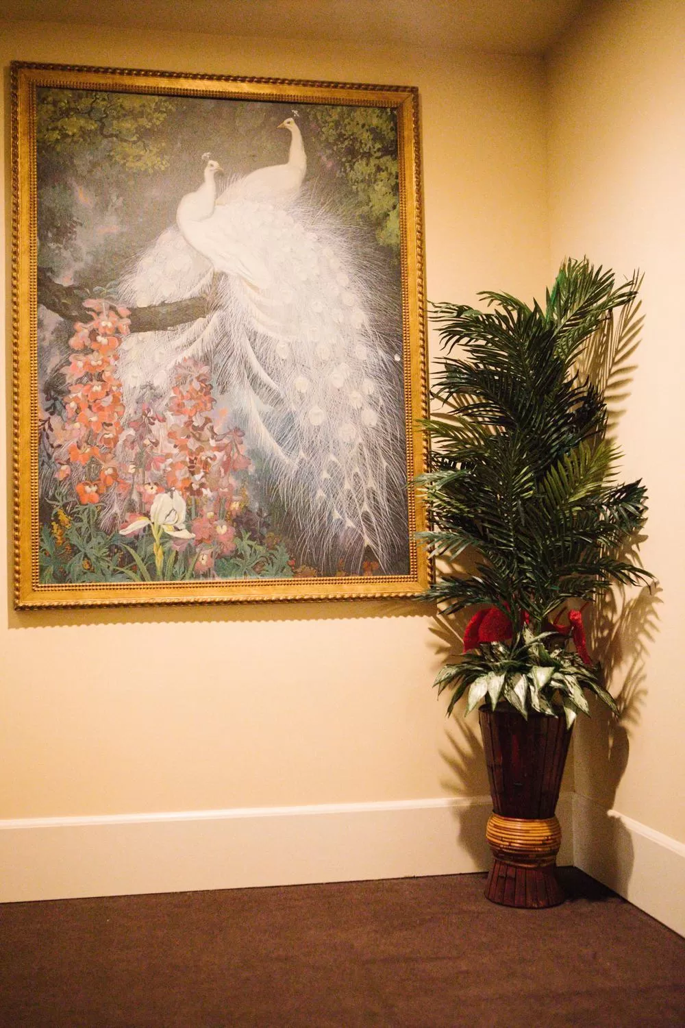 Area and facilities in Belvada Hotel