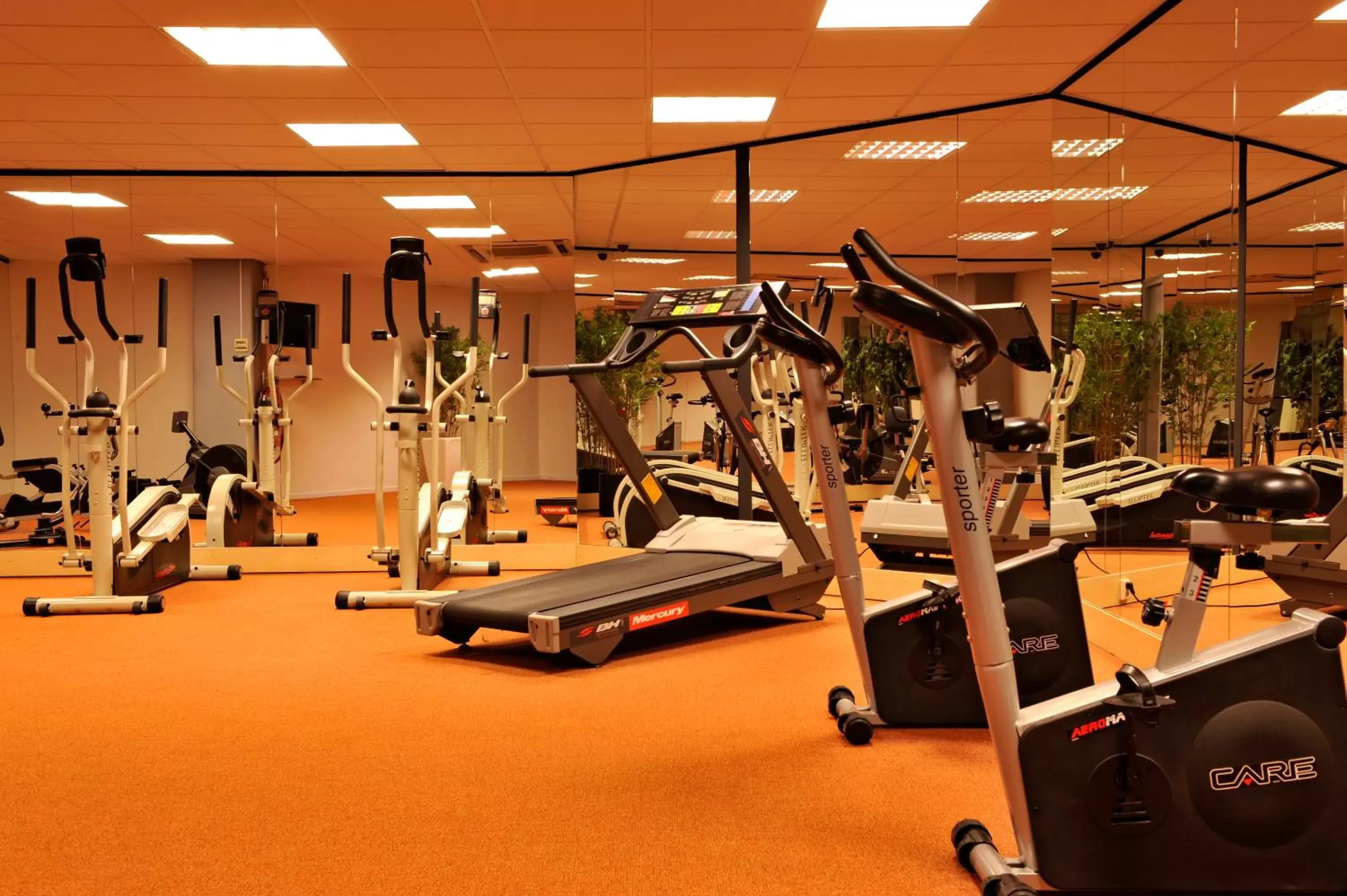 Fitness centre/facilities, Fitness Center/Facilities in Crown Hotel Eindhoven Centre