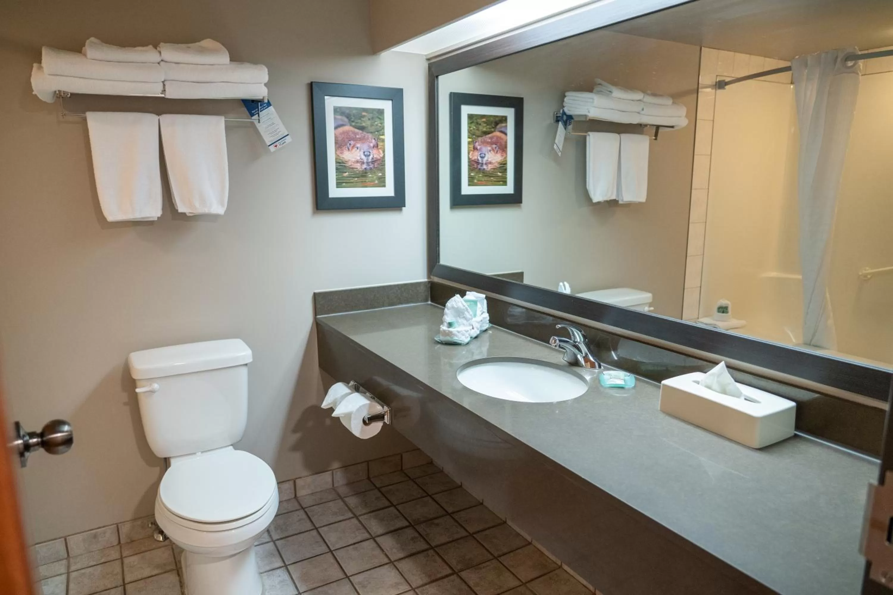 Toilet in Pocaterra Inn & Waterslide