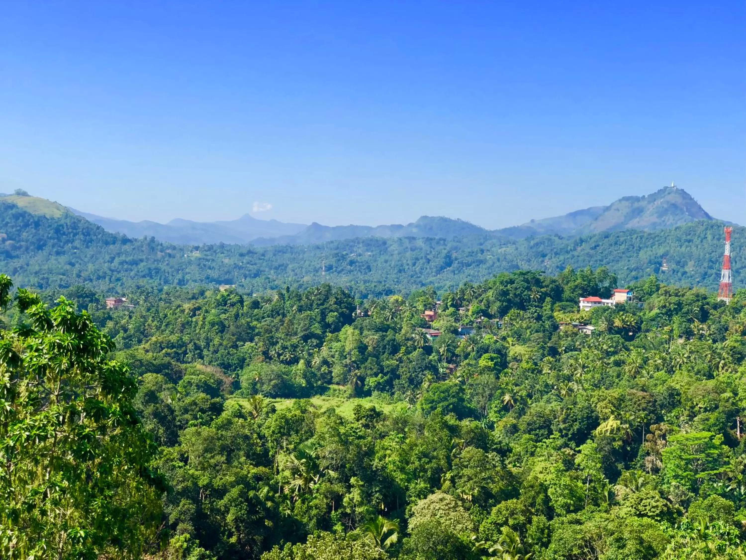 Natural landscape in Elegant Hotel
