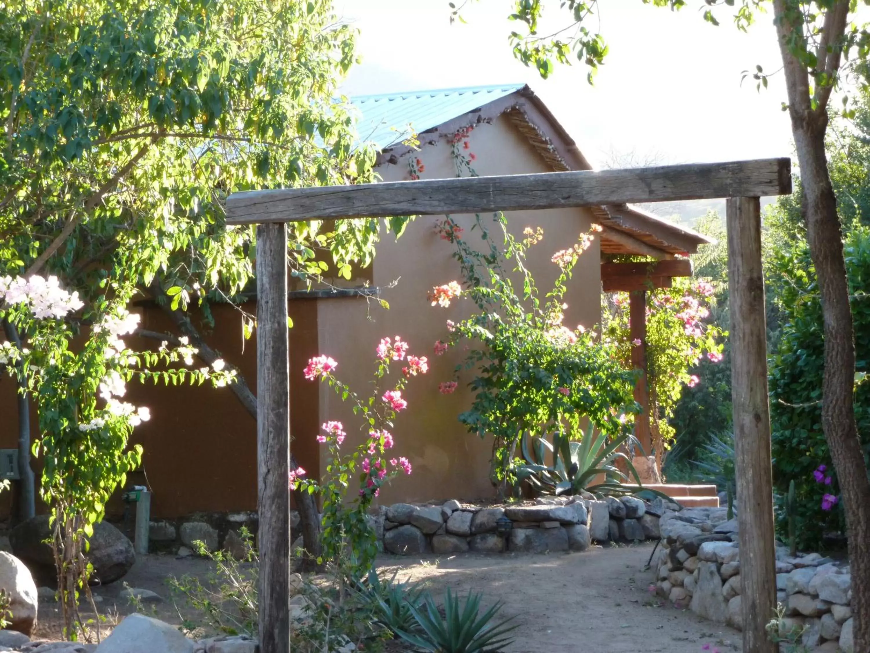 Decorative detail, Property Building in El Pedregal - Hotel en la Naturaleza