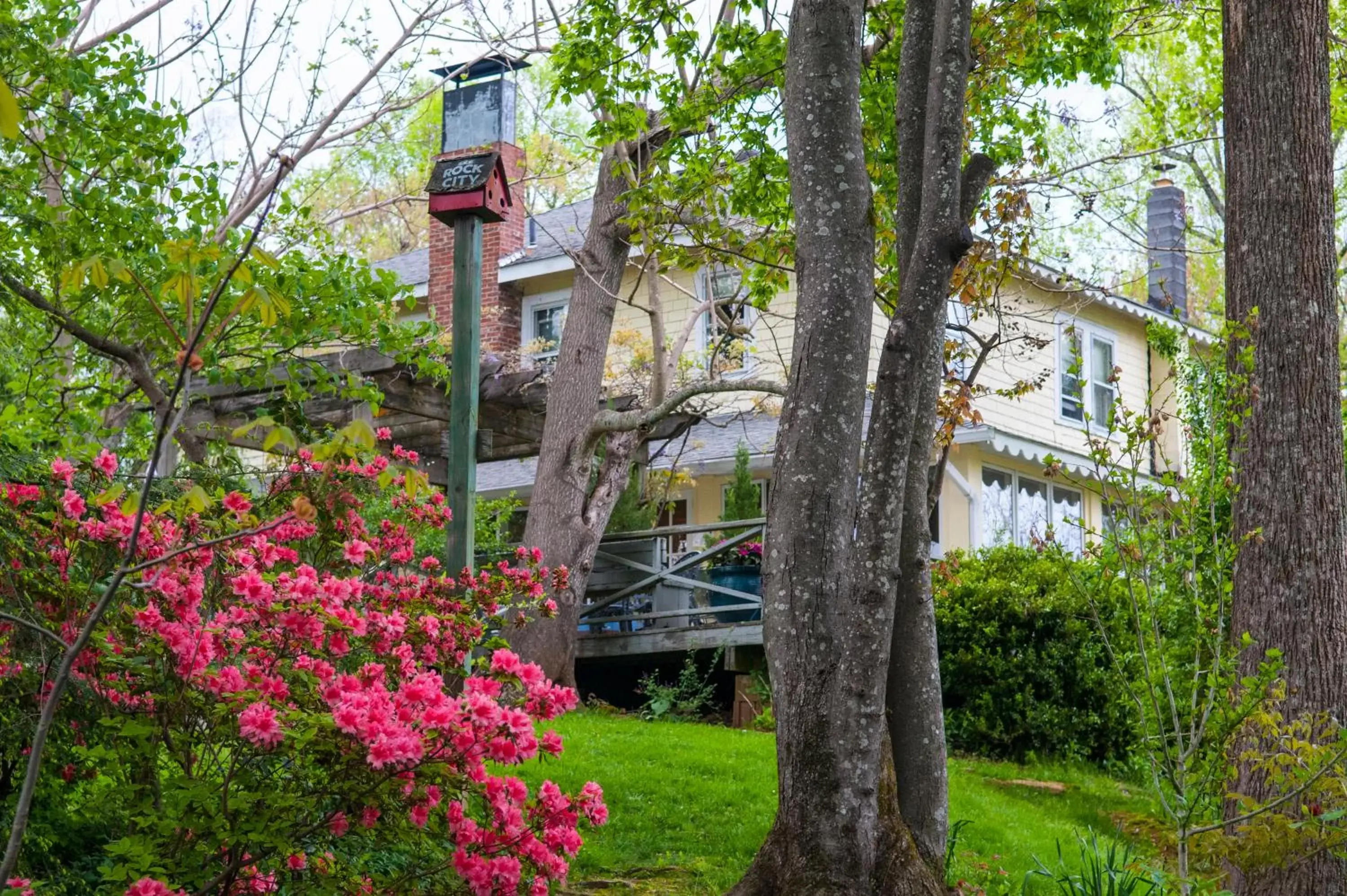 Garden, Property Building in Orchard Inn