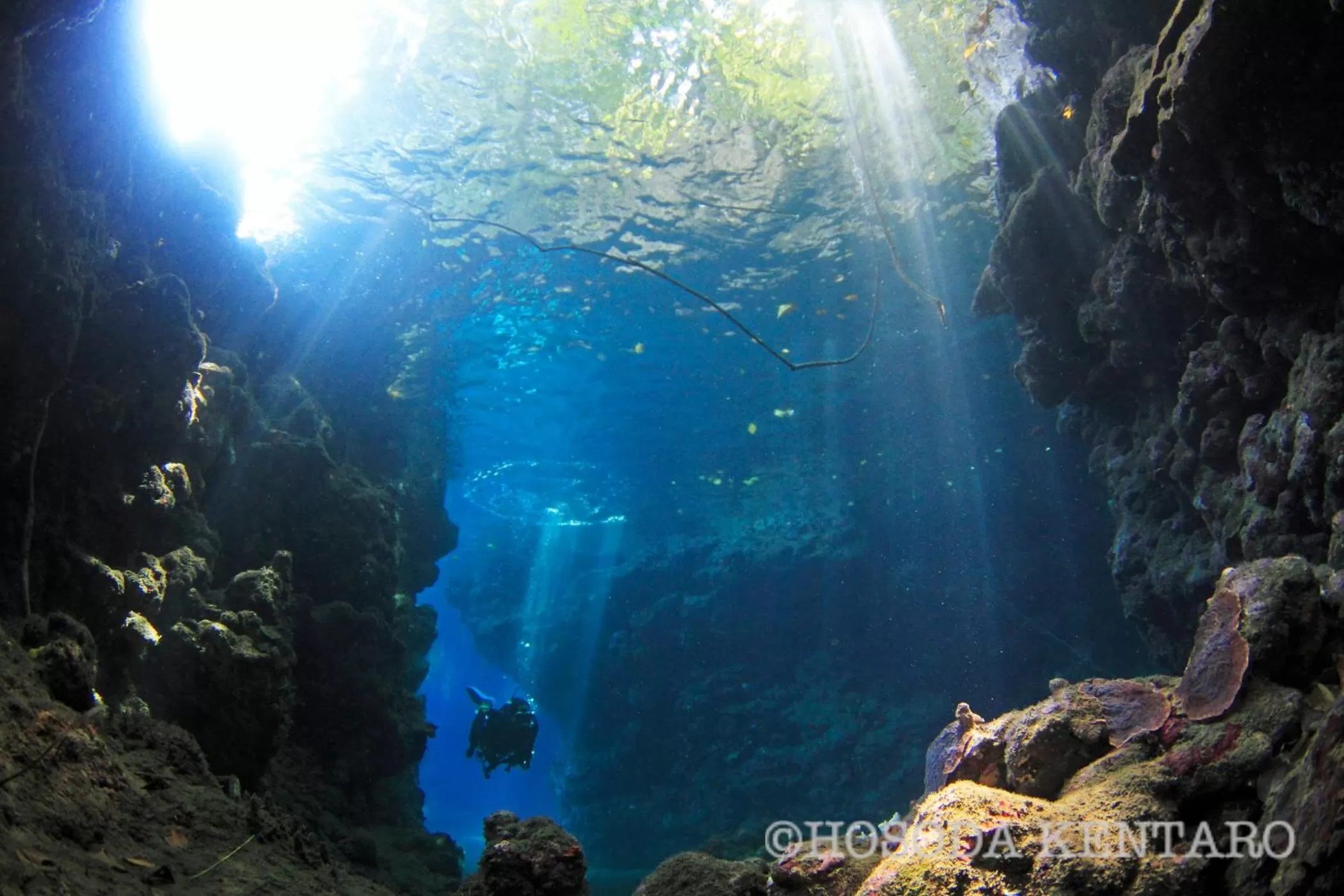 Tawali Leisure & Dive Resort