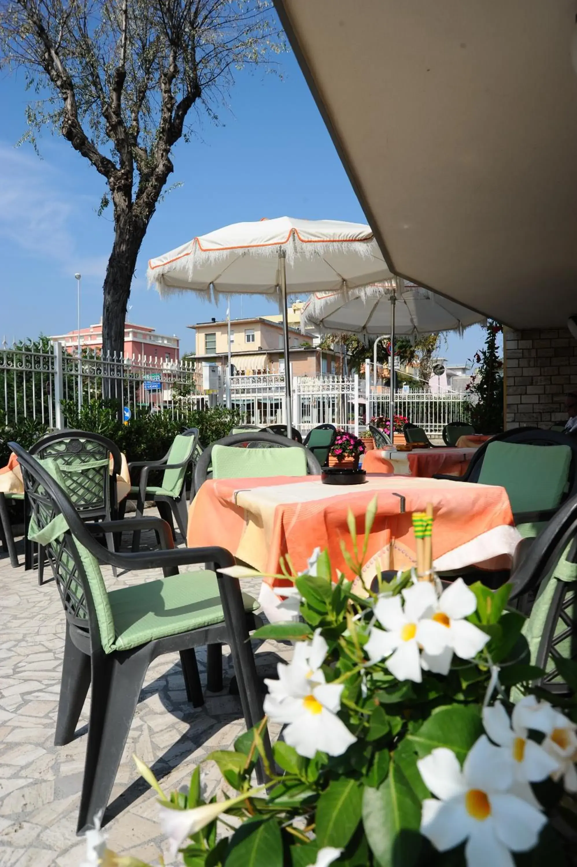 Patio/Outdoor Area in Hotel Biagini