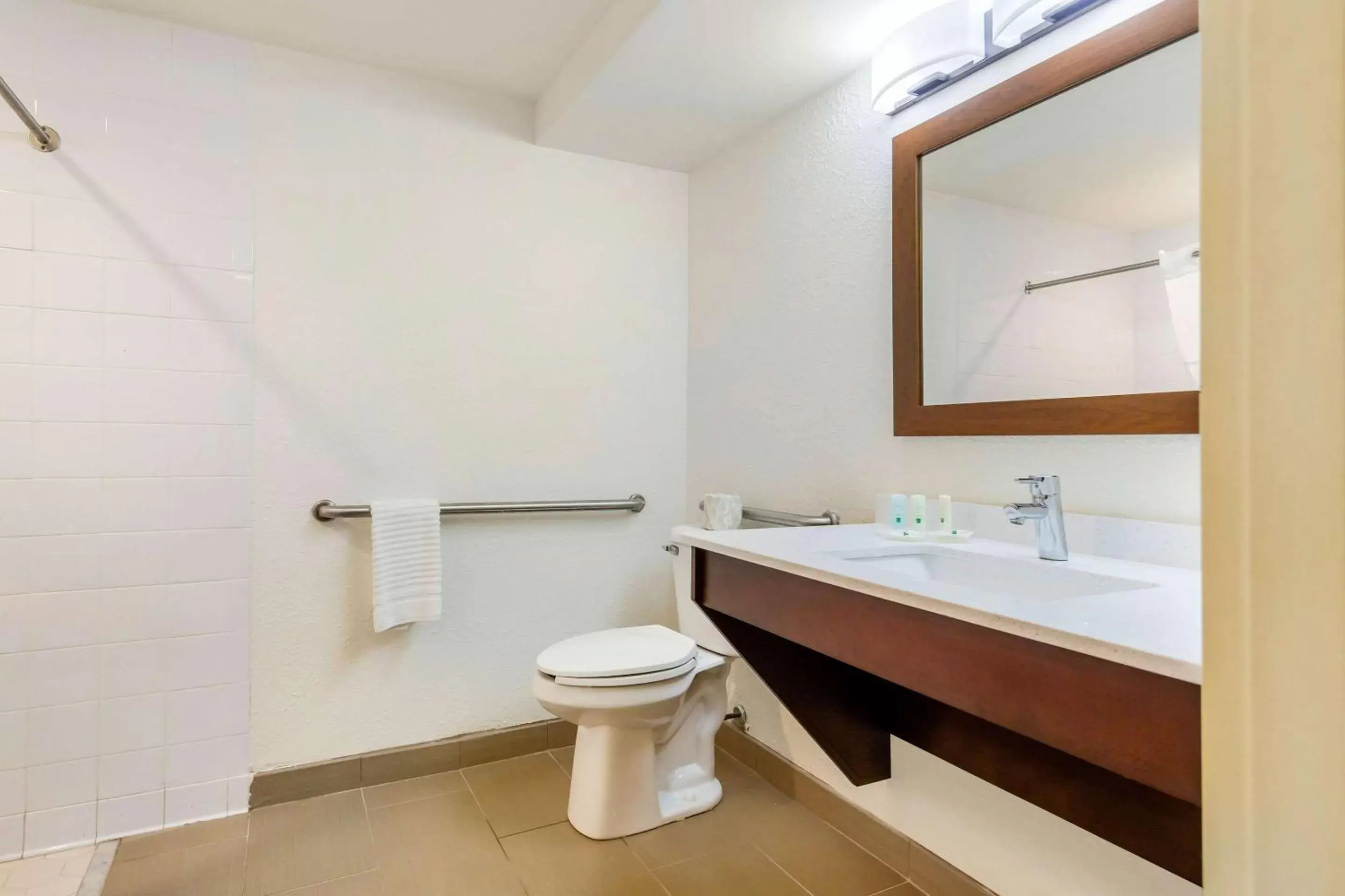 Bathroom in Quality Inn & Suites Olde Town