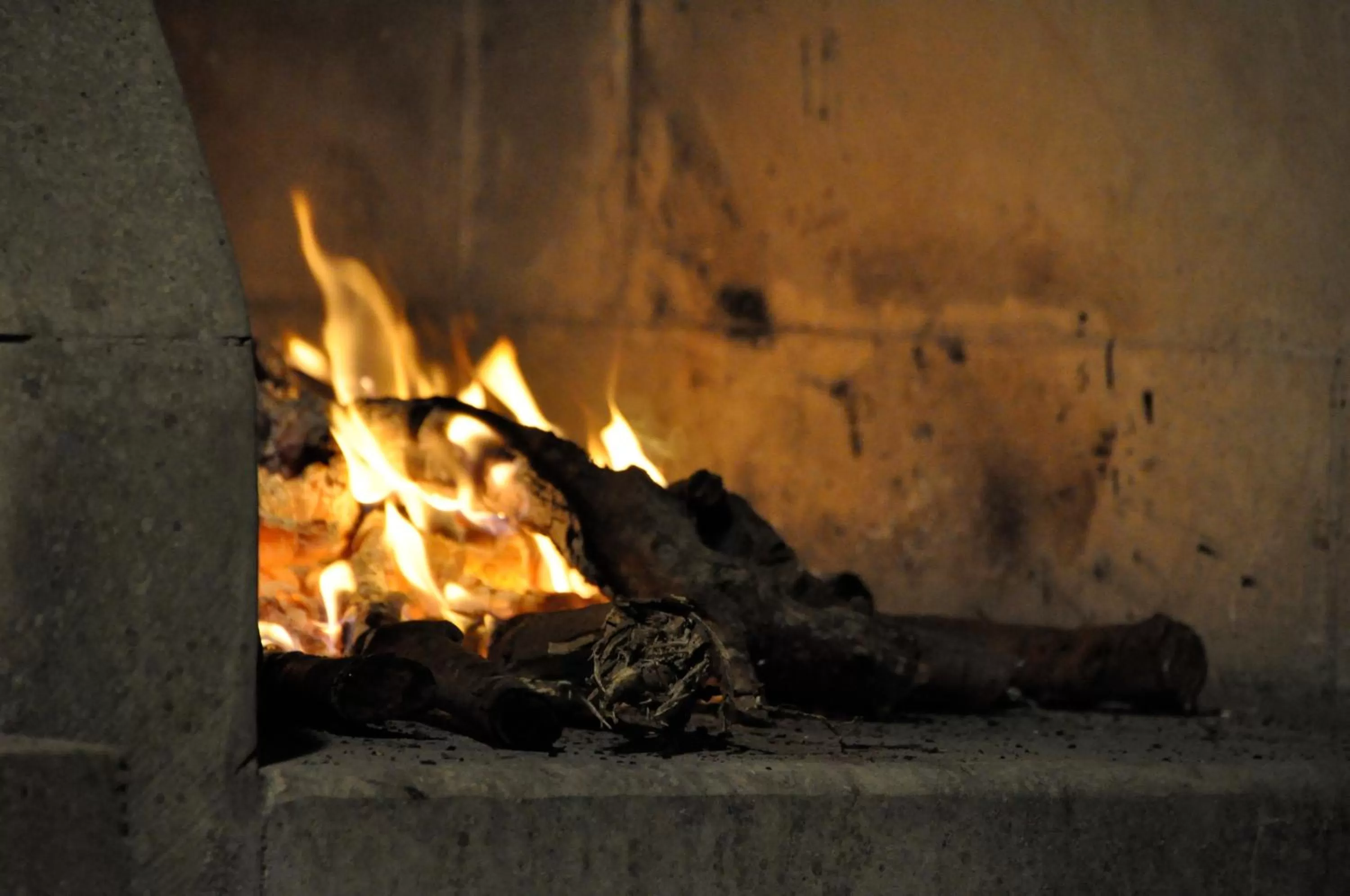 BBQ facilities in B&B La Seta Rossa