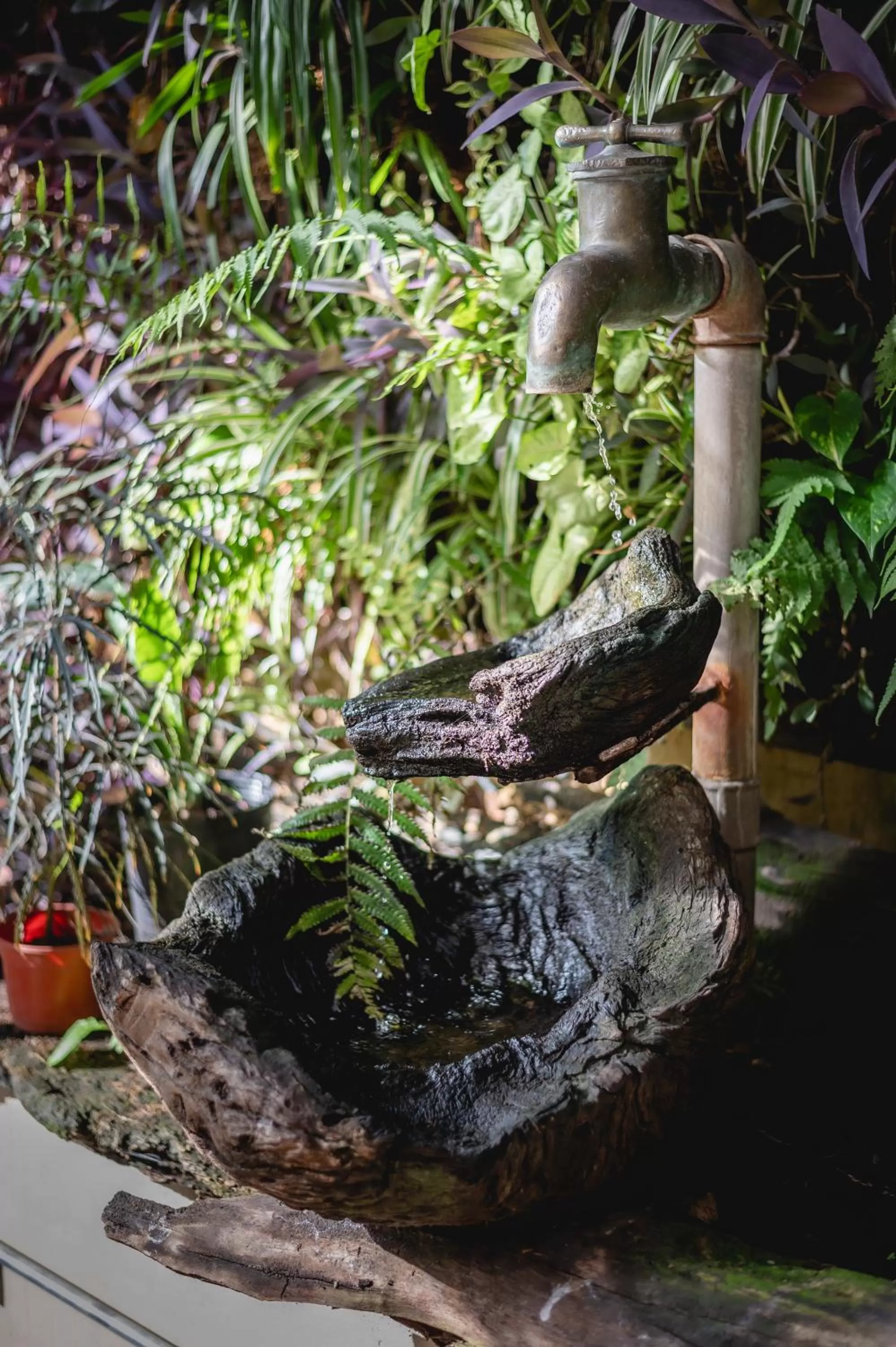 Property building in Hub Porteño