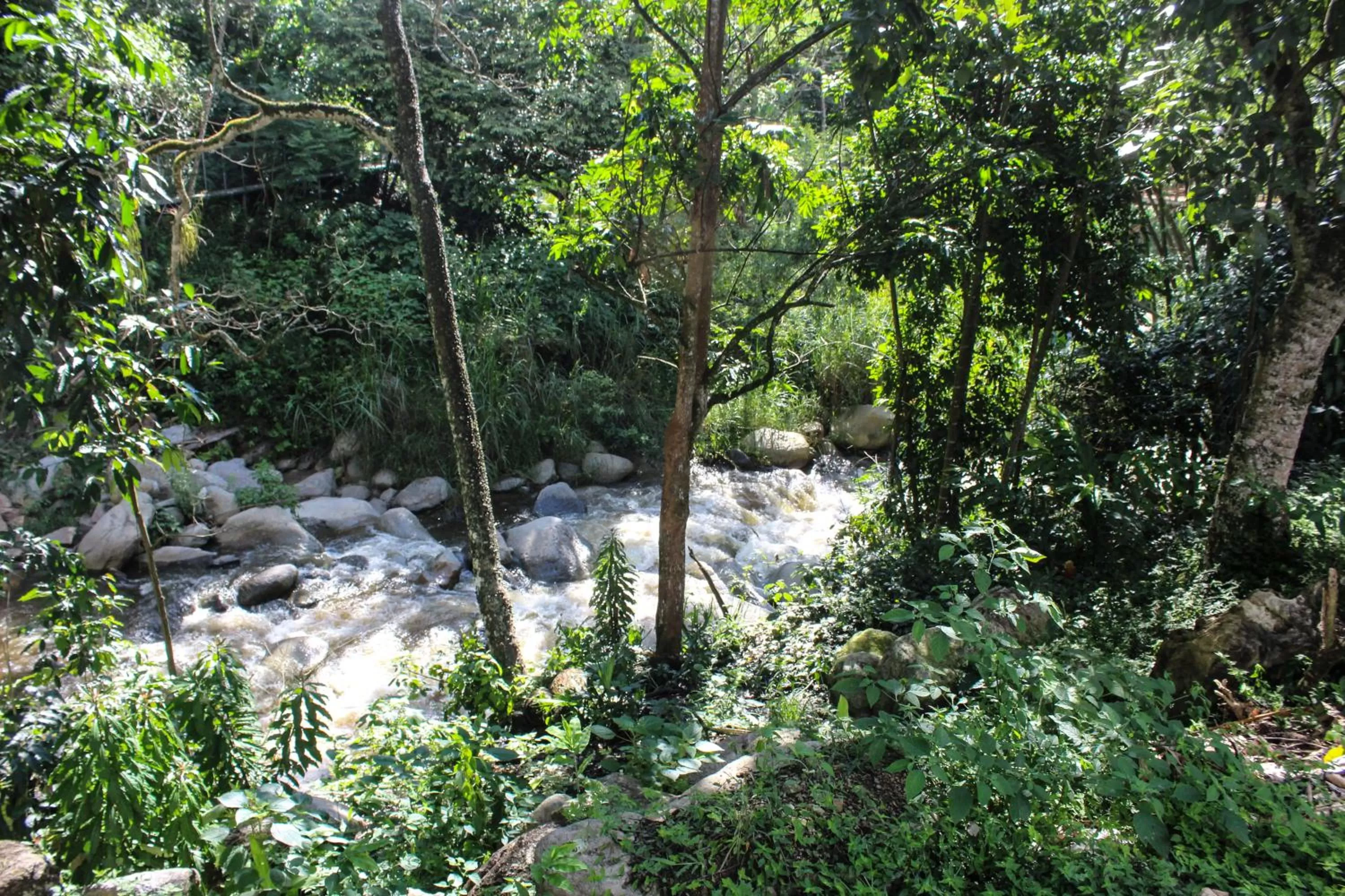 Natural landscape in Rio Escondido