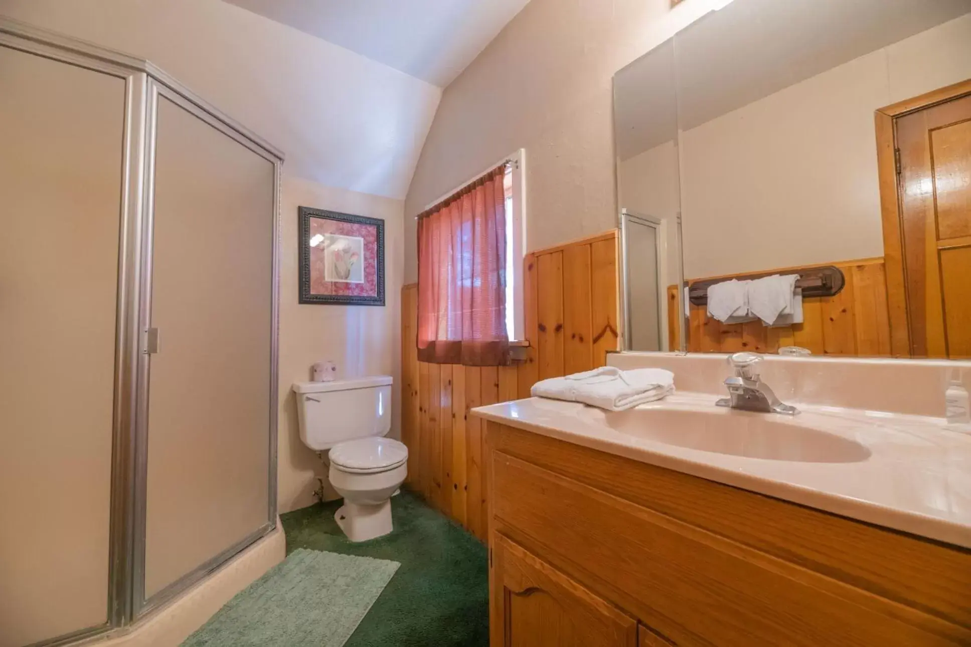 Bathroom in Black Forest Lodge