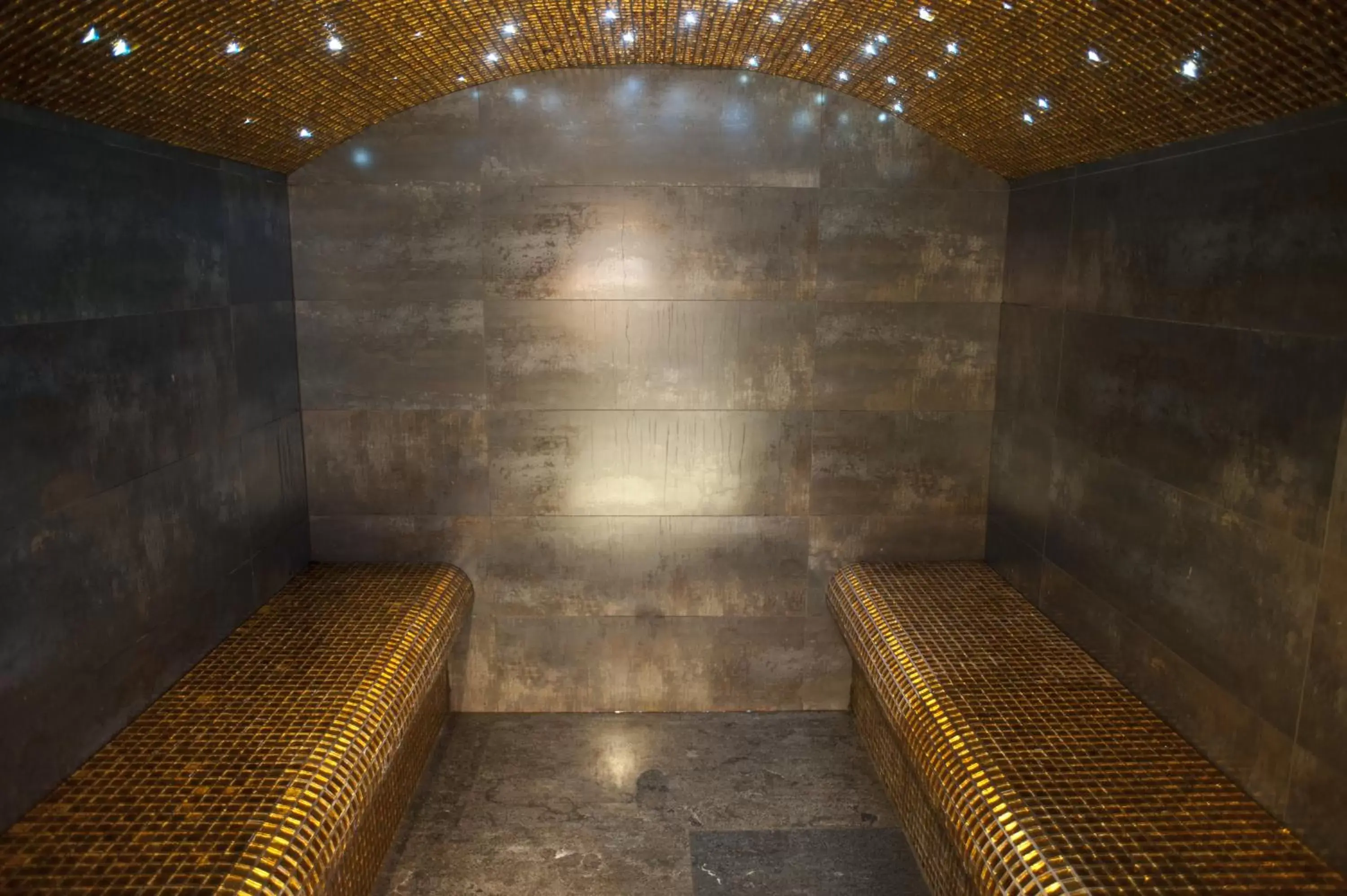 Steam room, Spa/Wellness in Chamois d'Or Hotel