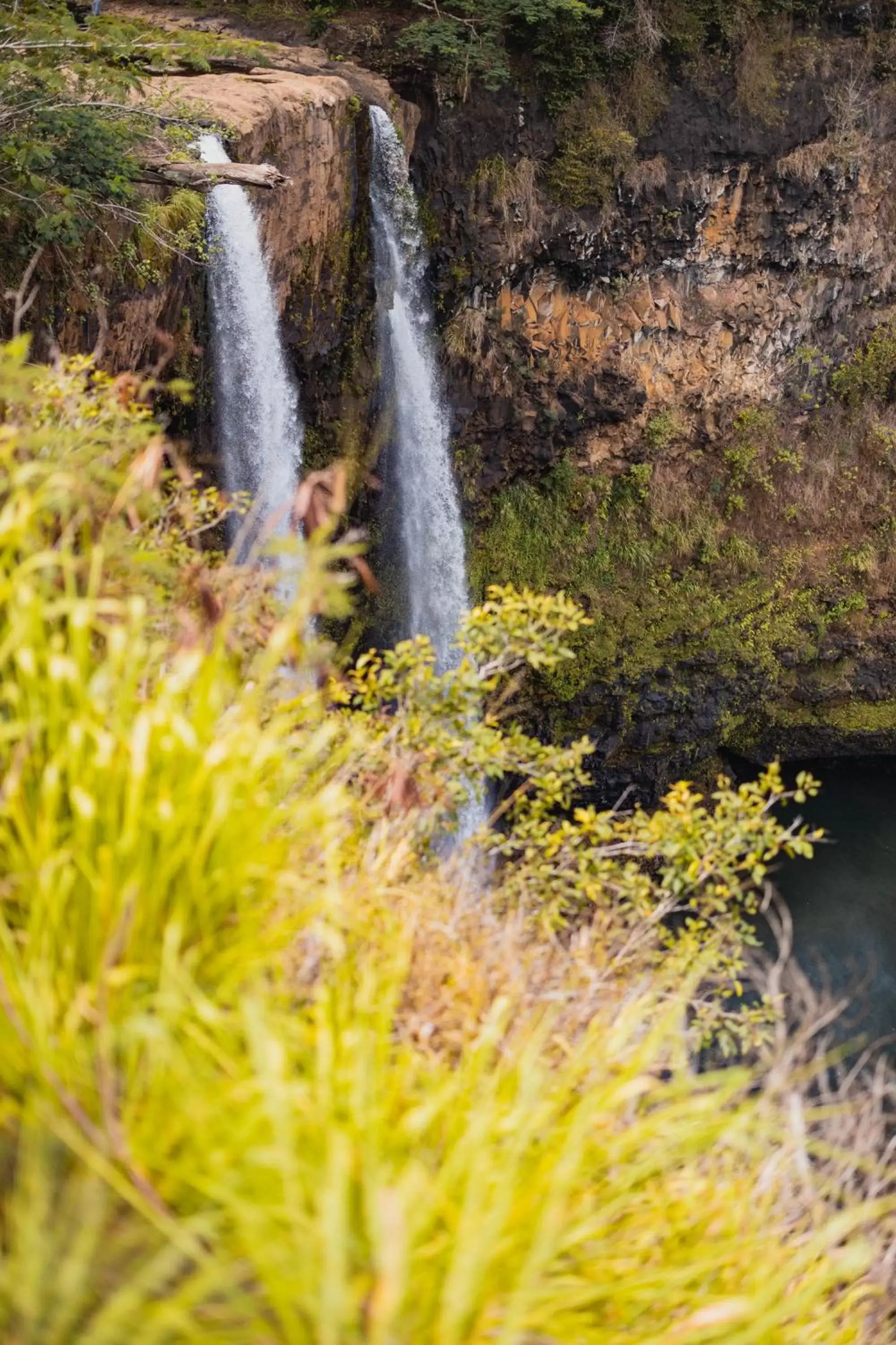 Natural Landscape in Kauai Shores Hotel