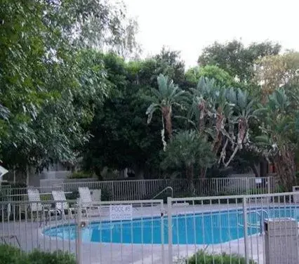 Swimming Pool in The Oasis Resort