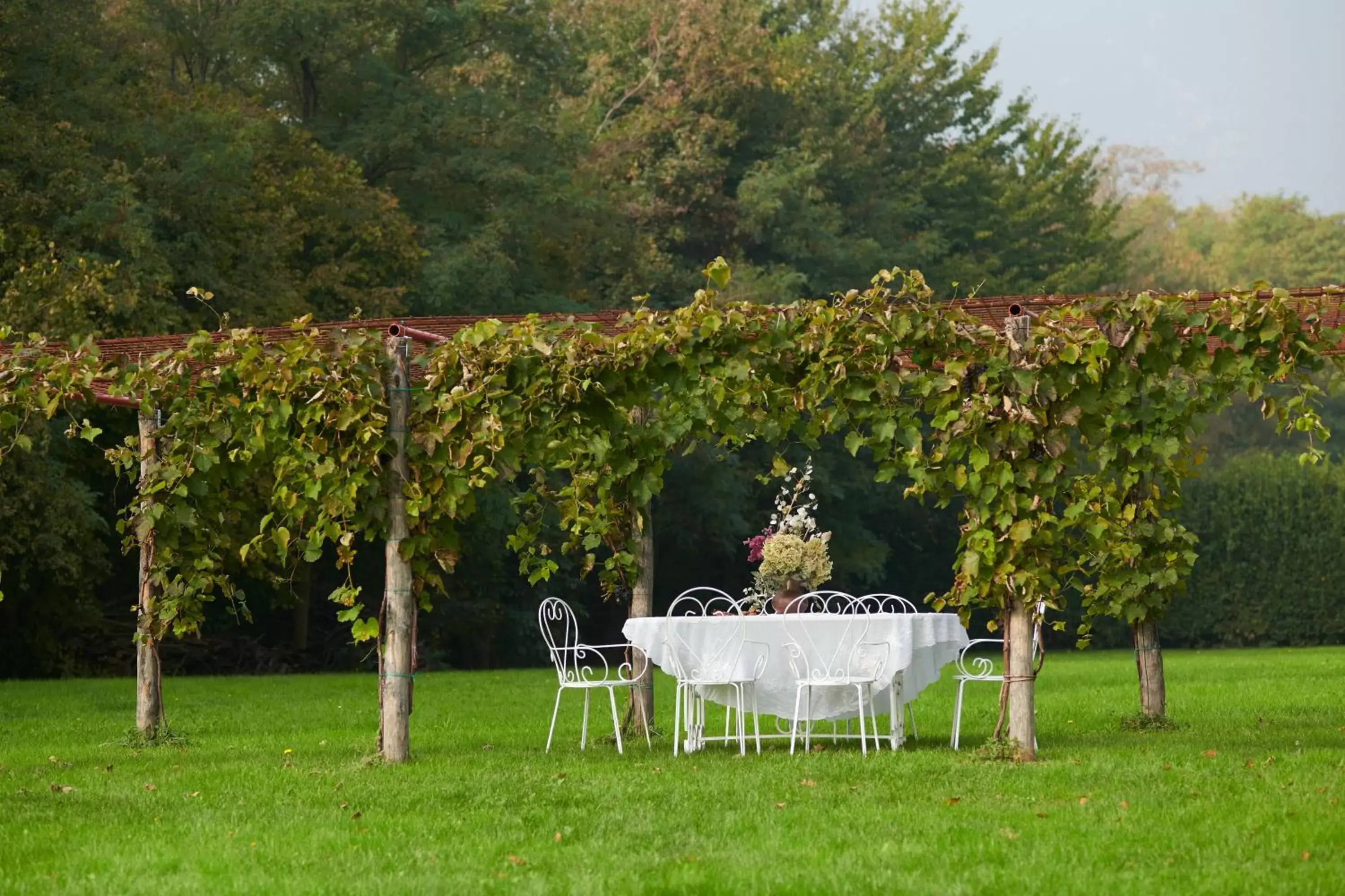 Natural landscape, Garden in Villa Stecchini