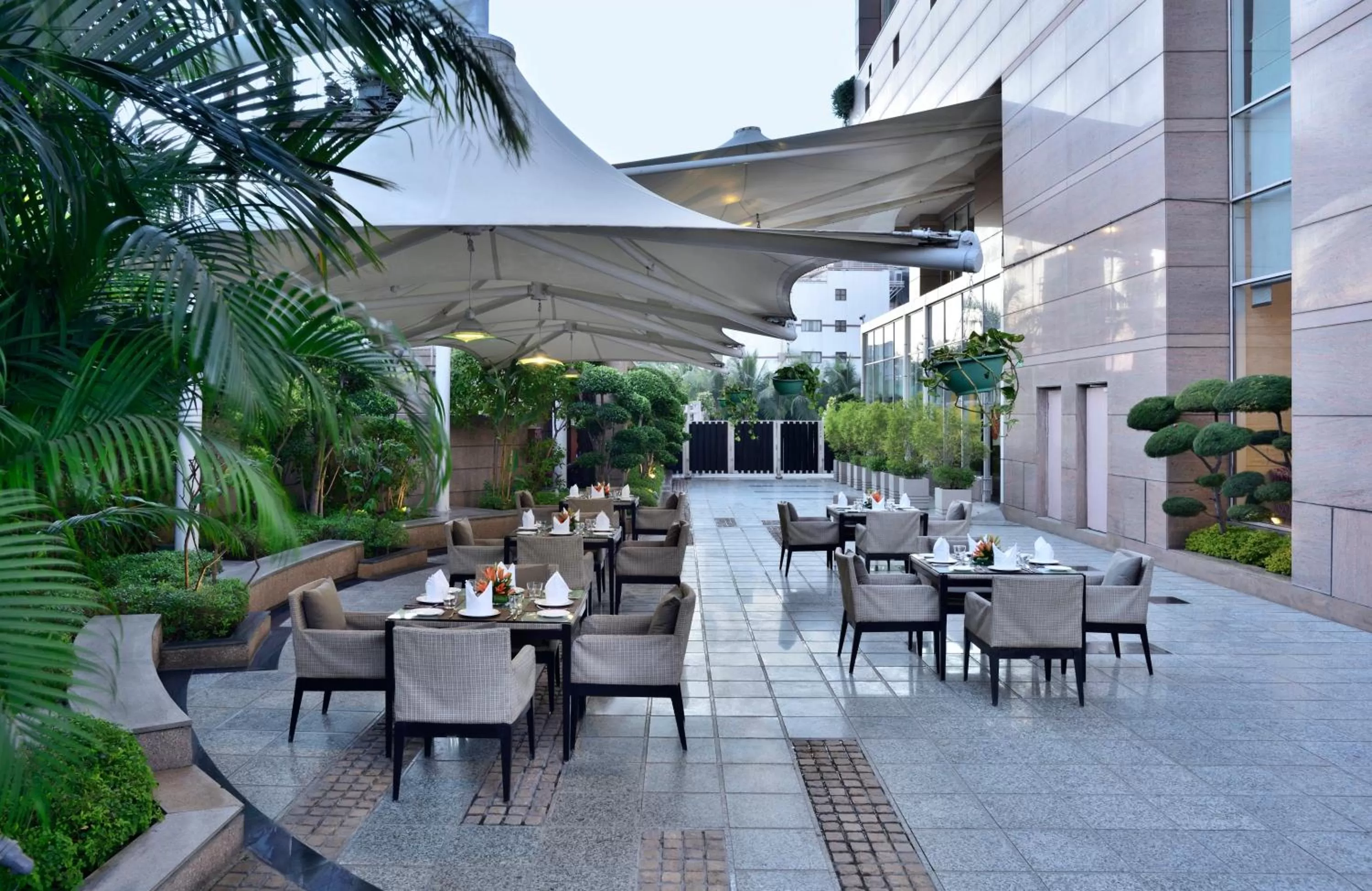 Food and drinks in Radisson Blu Hotel, Indore