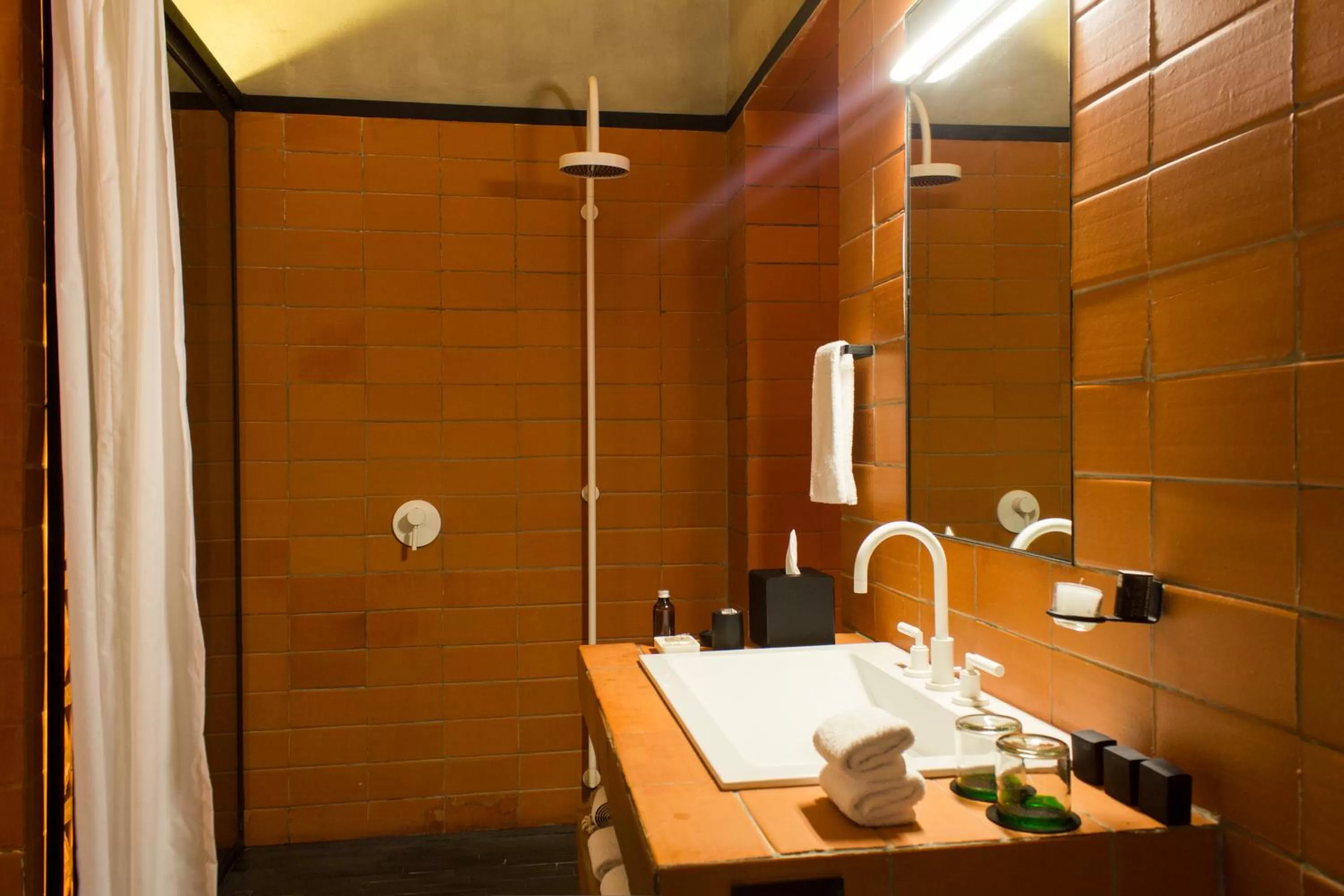 Bathroom in Downtown Mexico