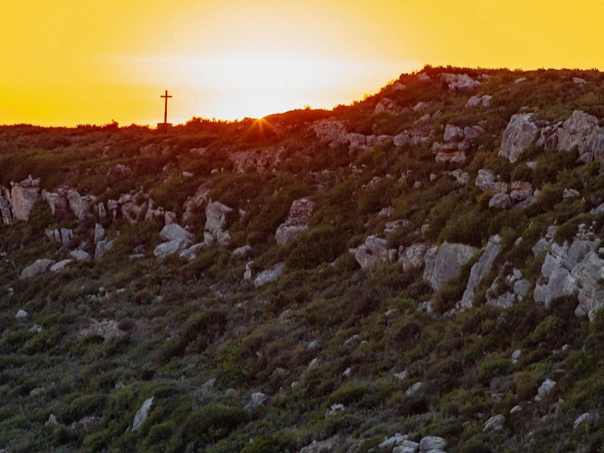 Natural landscape in Garrigae Abbaye de Sainte Croix
